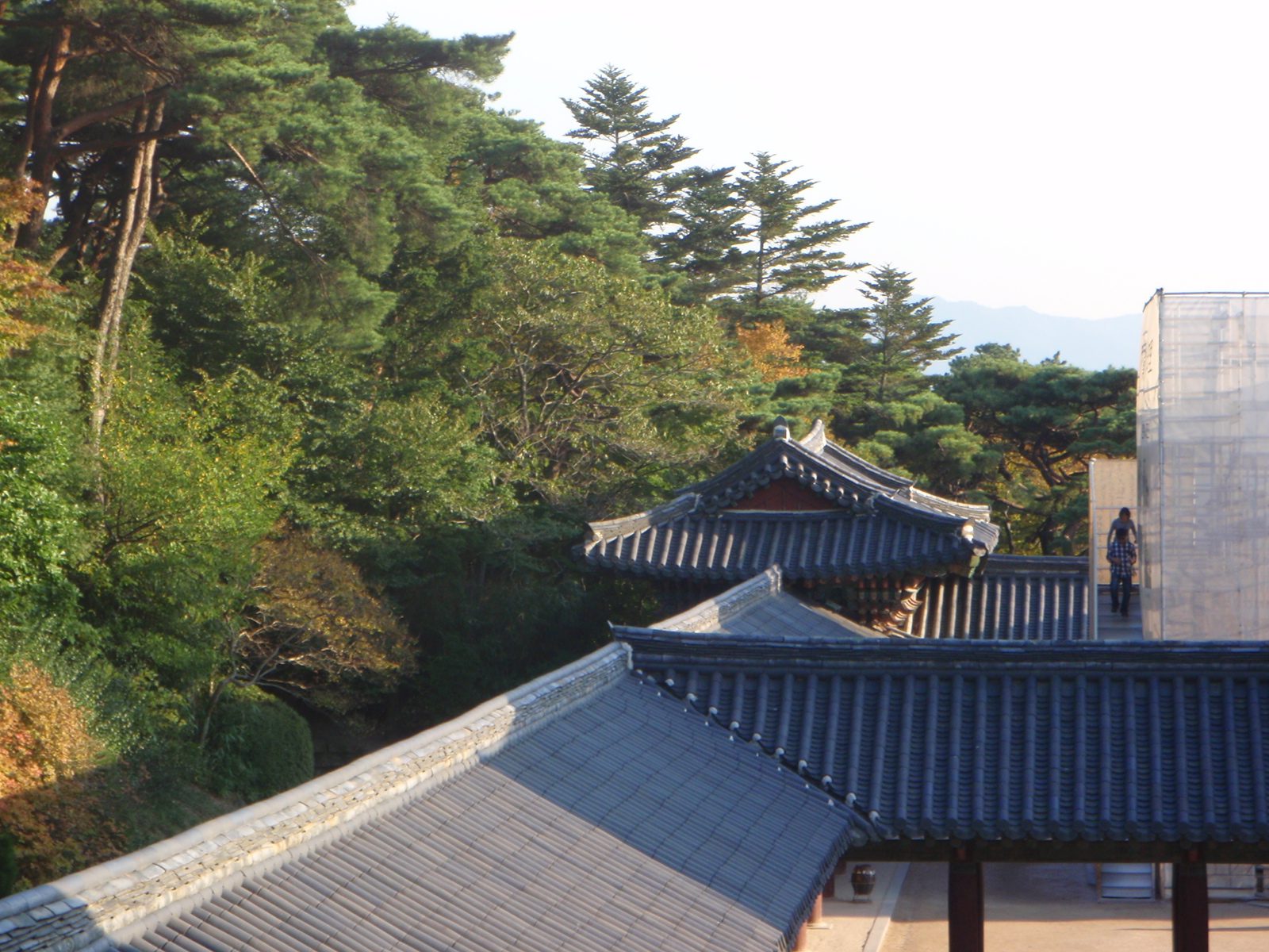 A shot of the roofs from above.