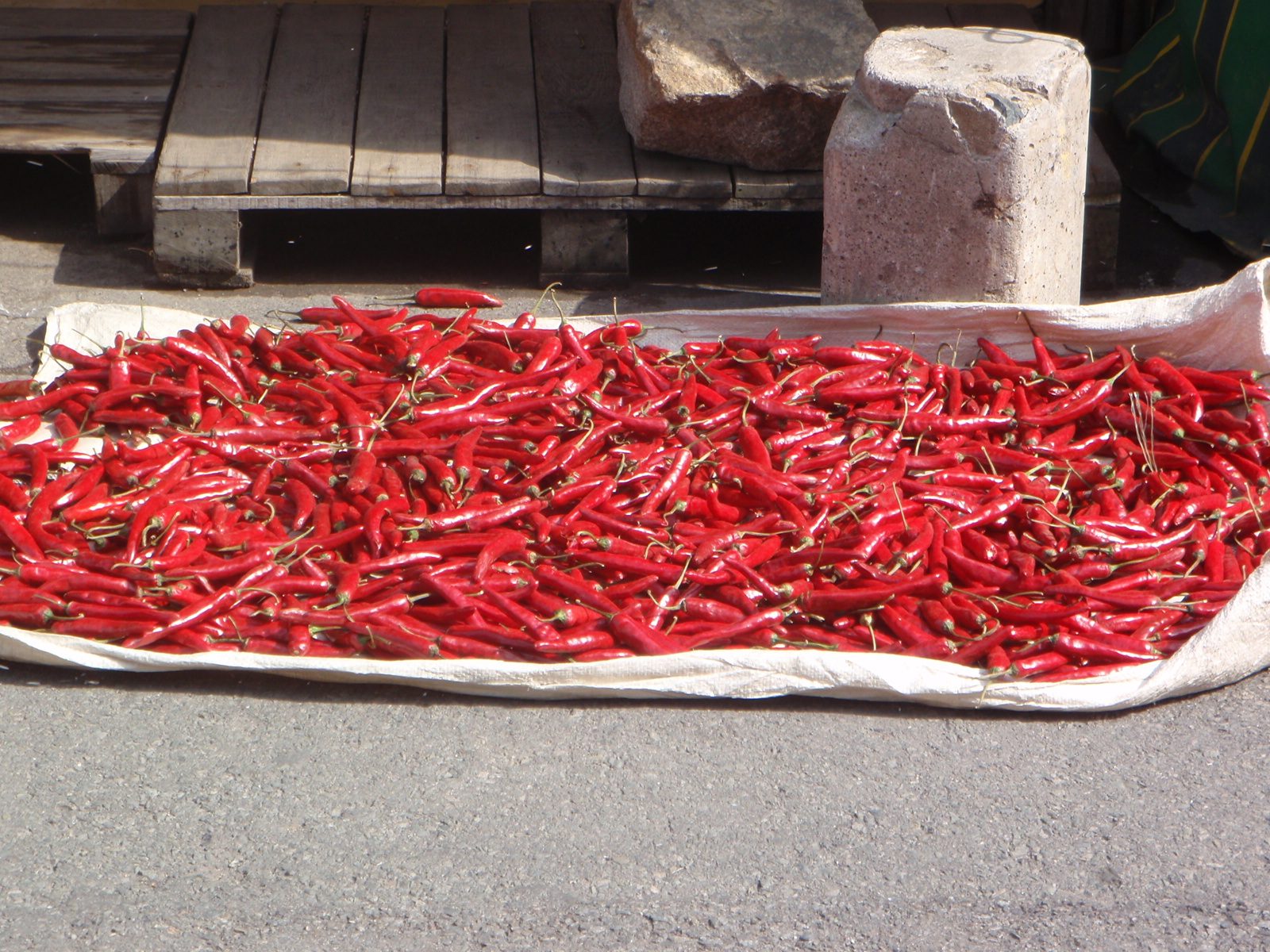 Lots of chili peppers drying in the sun at the Jagalchi Fish Market.