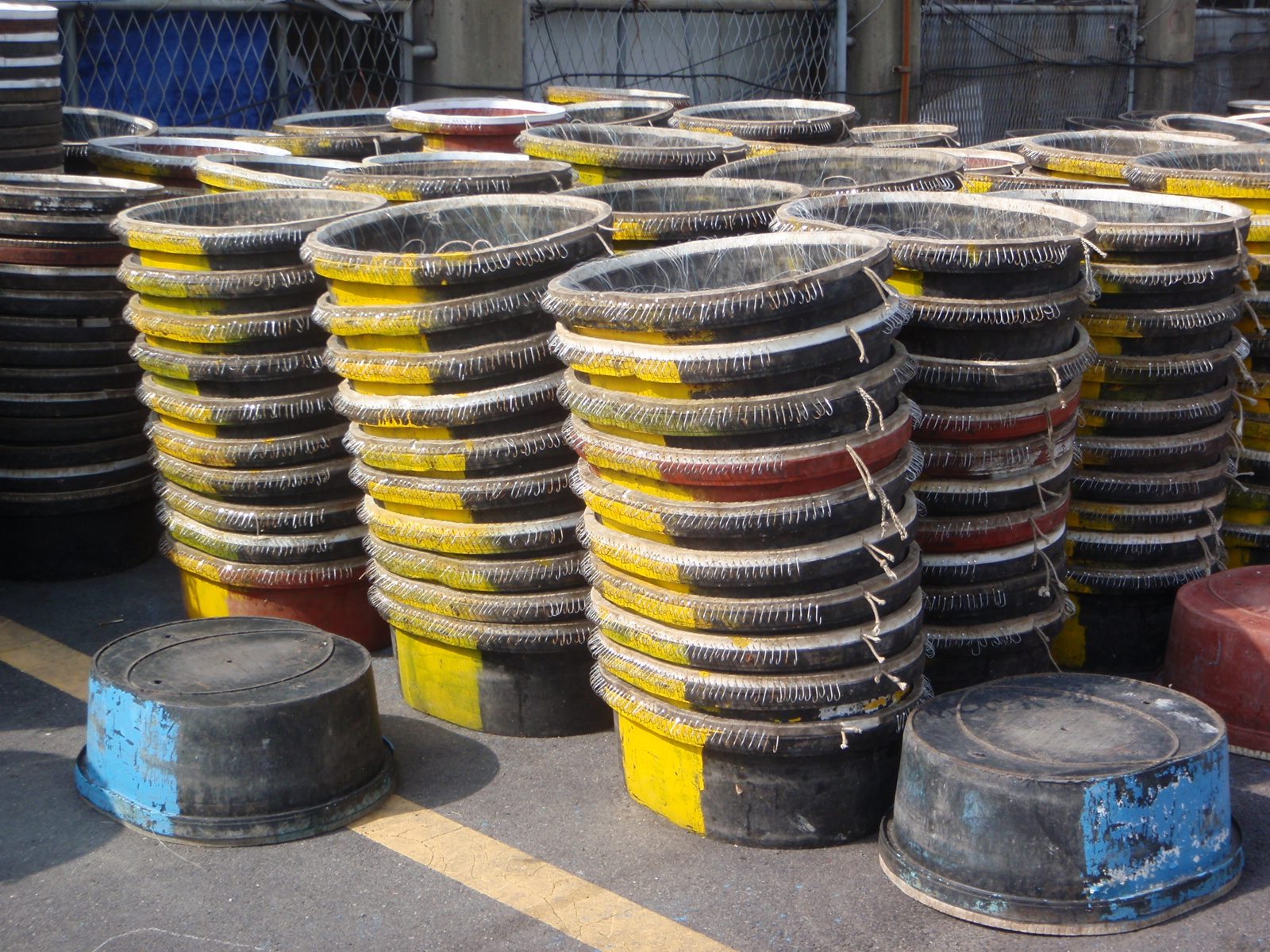 Long-line fish hooks.  These ocean "drag nets" are the target of many environmental groups as...
