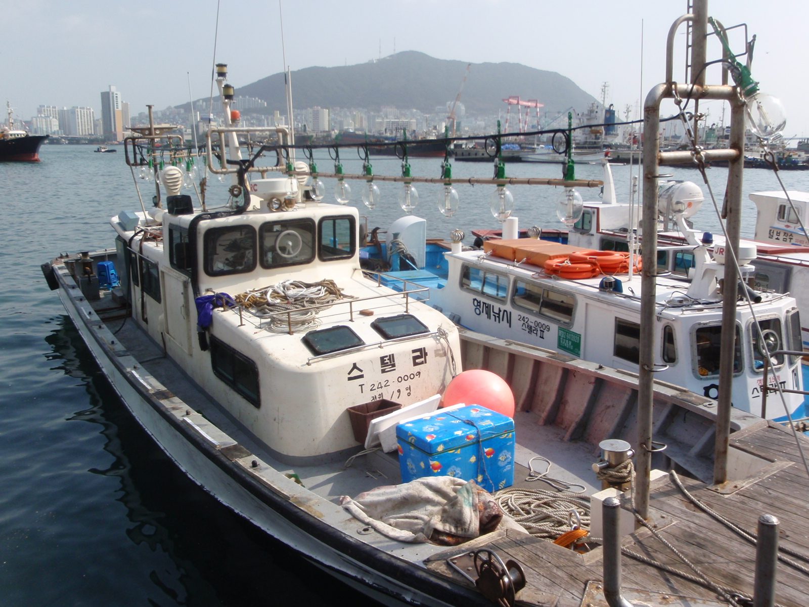 A squid-catching boat.  The large incandescent bulbs are used to lure squid, fooled by the...