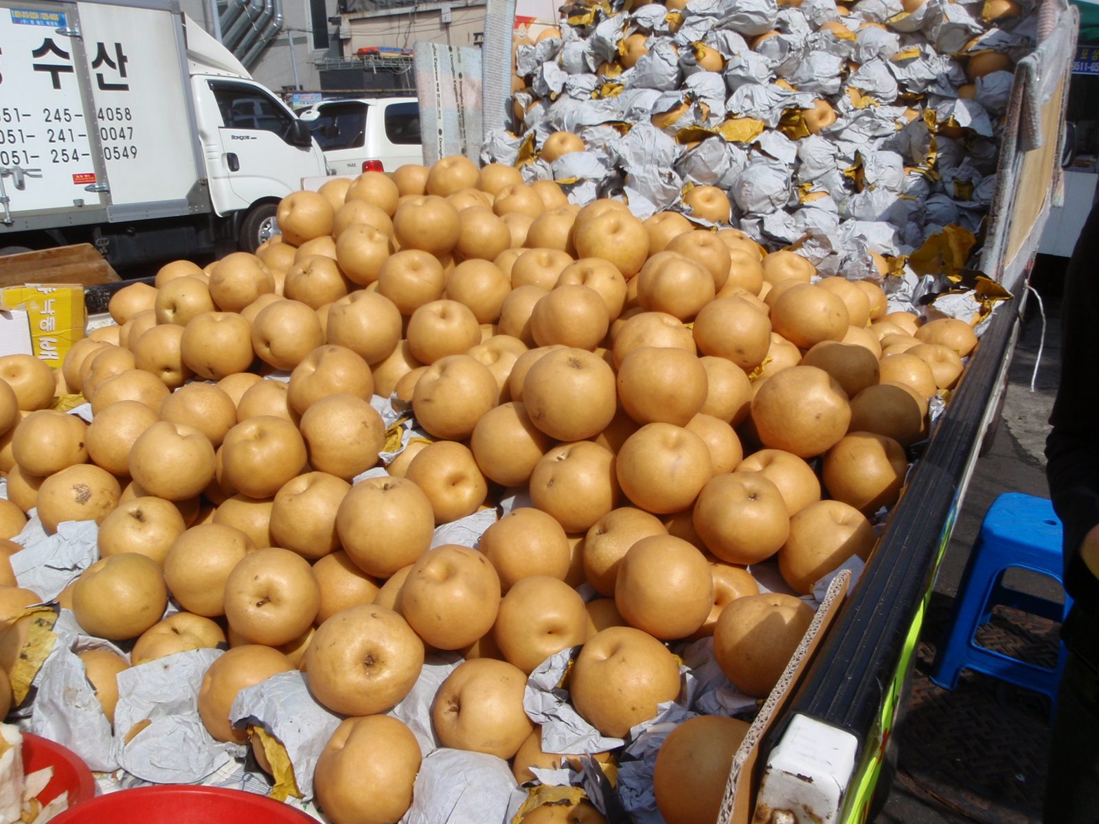 Pears the size of my head for sale.