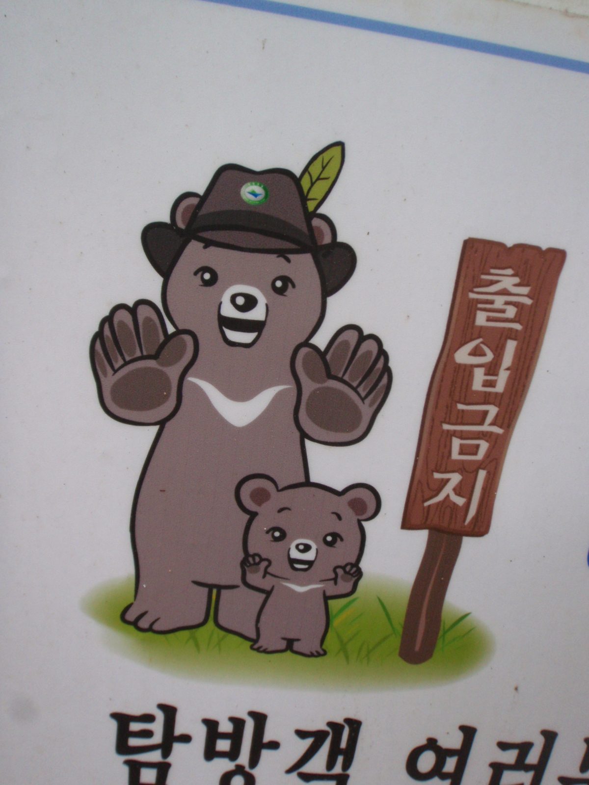 The Korean version of Smokey the Bear, with his cub/sidekick.  Way cuter than our version.  He...