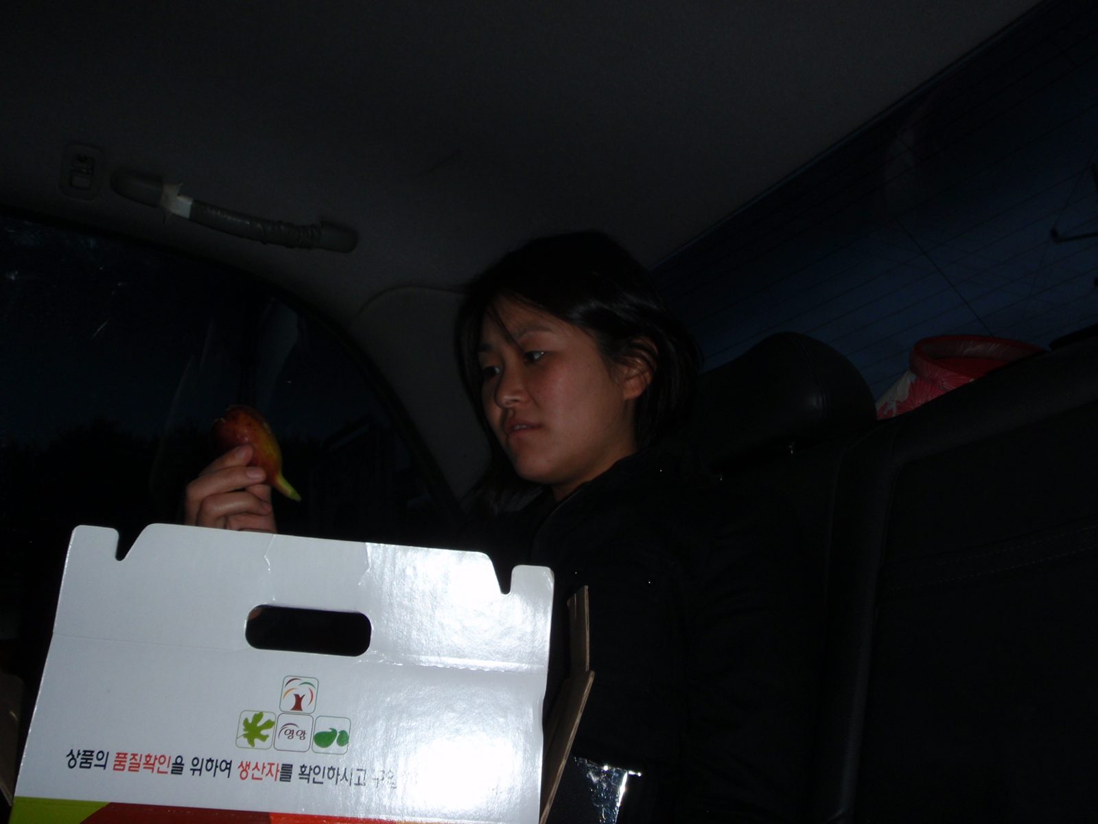 At this point we had put up with days of non-stop eating and were at the point of bursting. ...