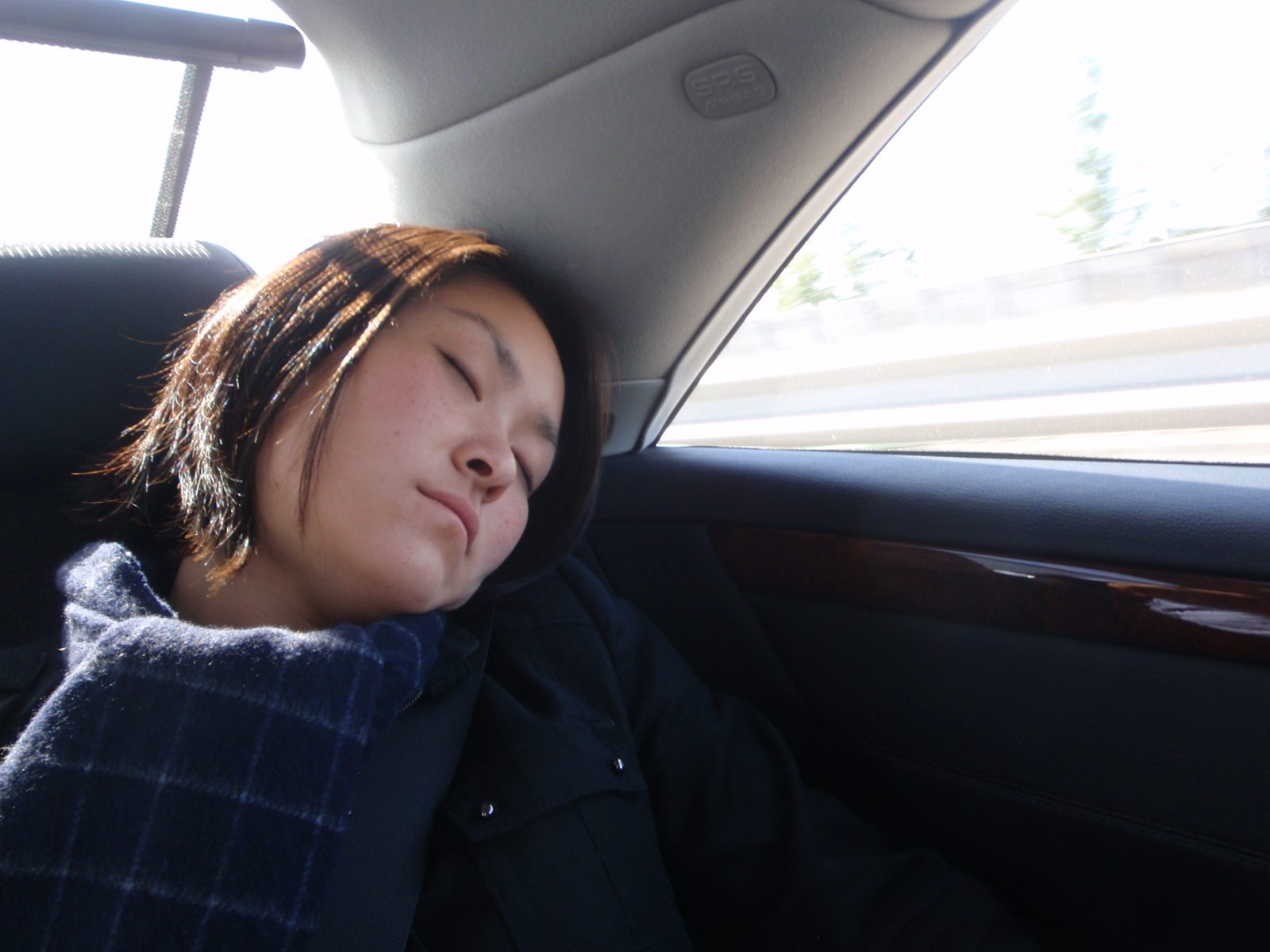 We are driving somewhere so Monica must be sleeping.