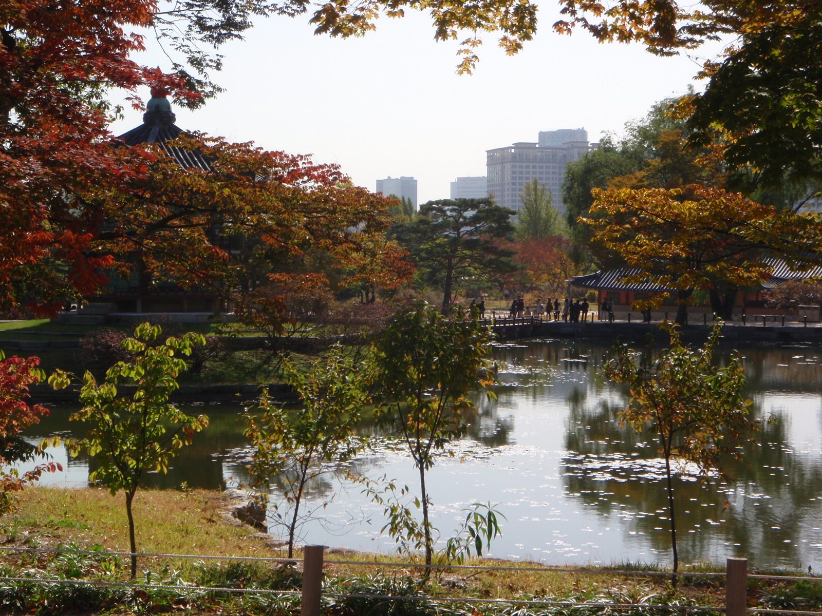 A beautiful fall day in Seoul at the Gyeongbok Palace complex.
