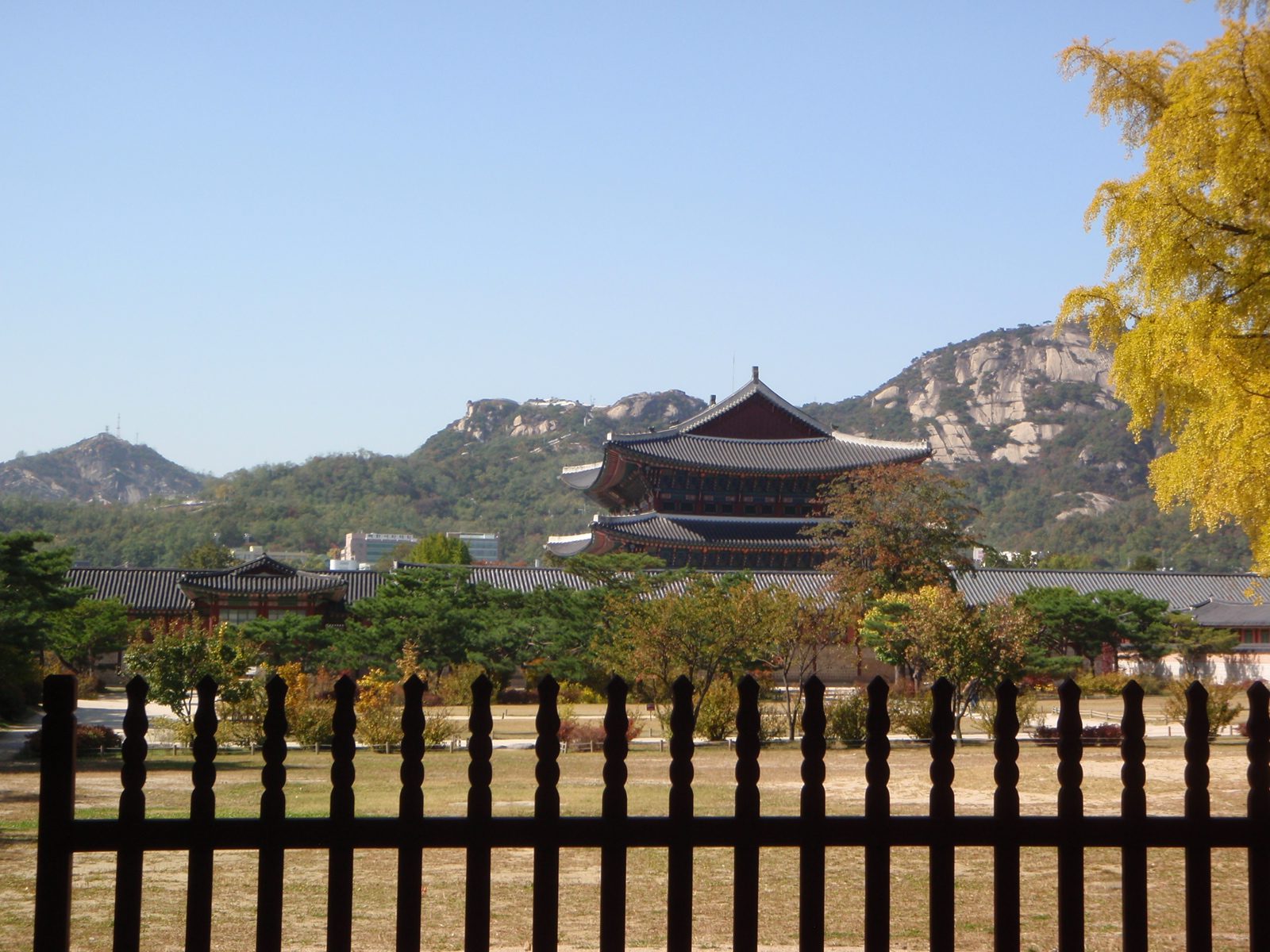 Final parting shot of Seoul.  After this, we got Chinese pull noodles, headed back to the mall,...