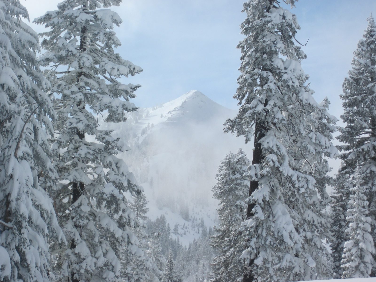 Cresting the north ridge of Diamond Peak we are offered our first view of Mt. Lassen. We had...