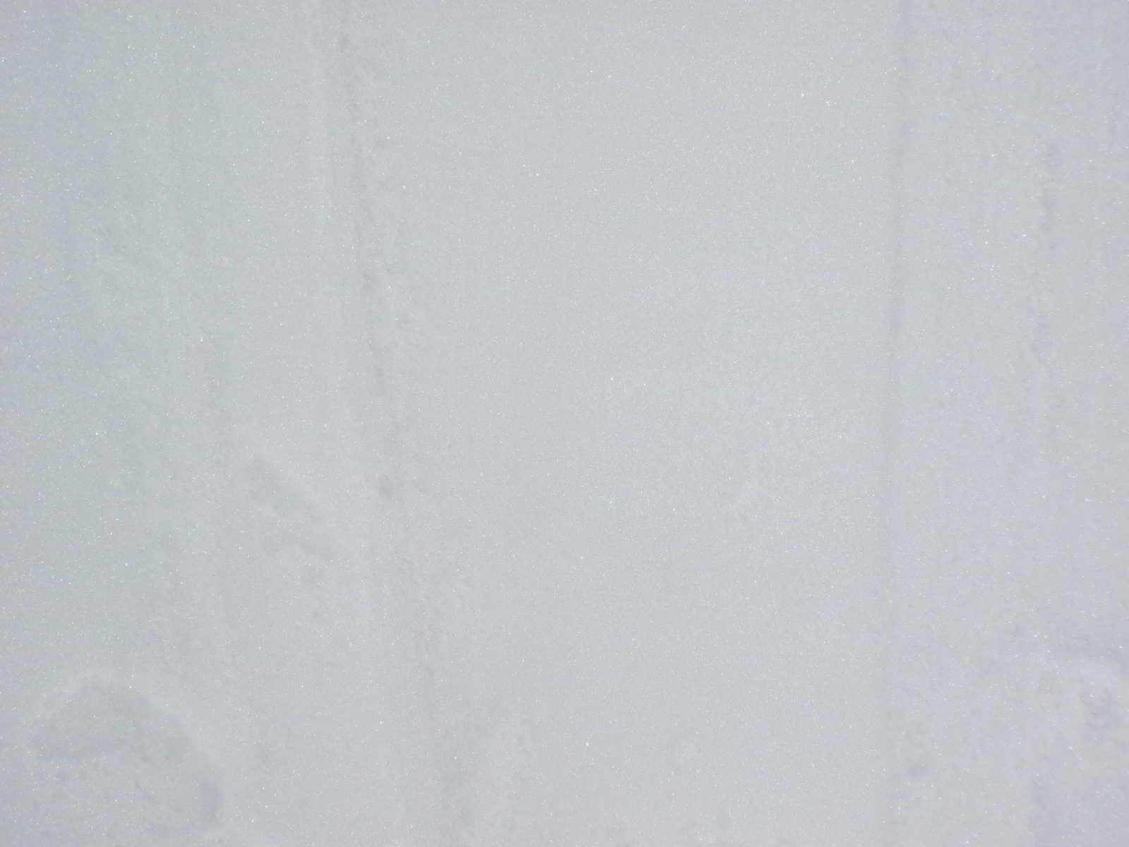 An attempt at showing the layers of snow - they're all basically washed out in this photo.