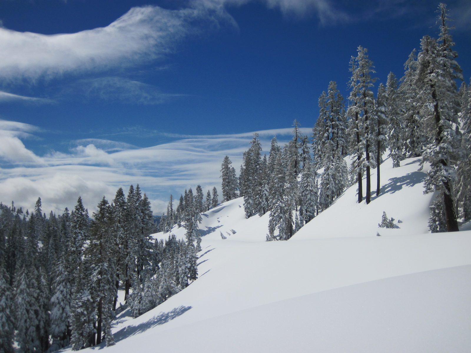 Clouds starting to materialize. The flat cut you see in the hillside is from CA-89, which is...