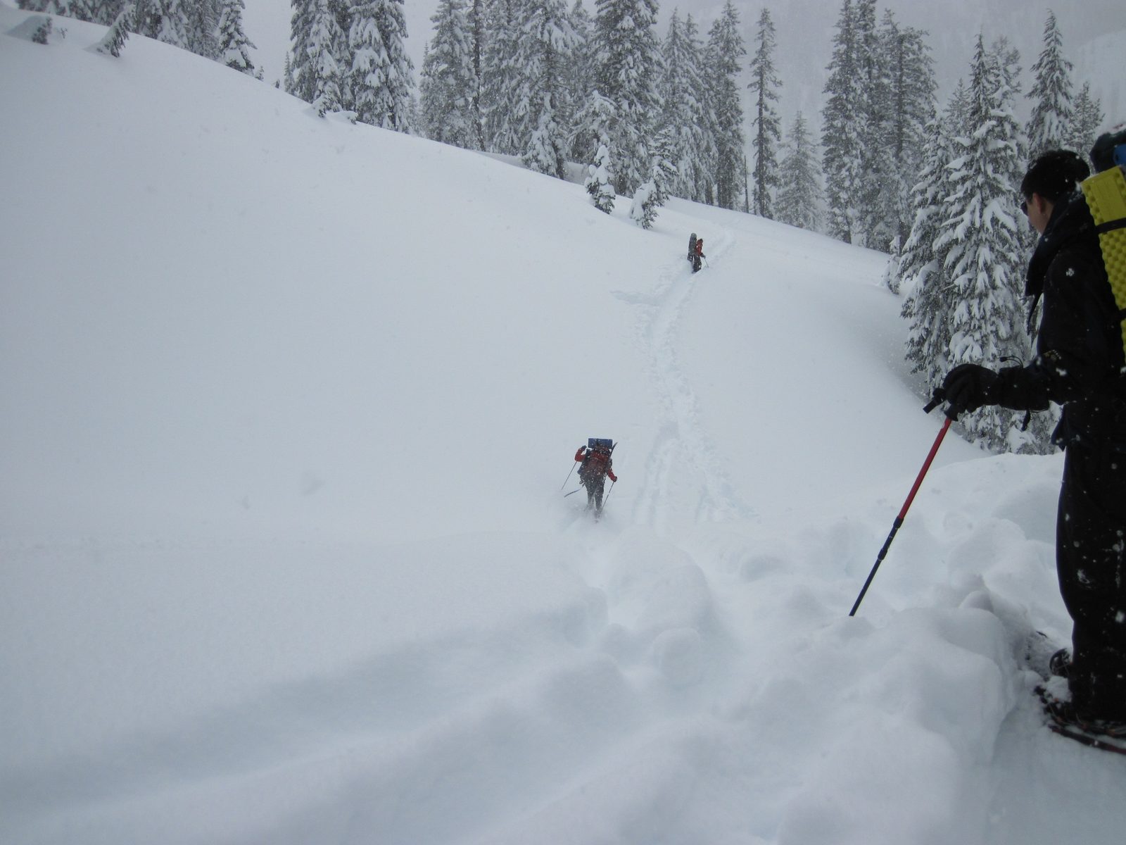 Skiing across a small gully we took one at a time.