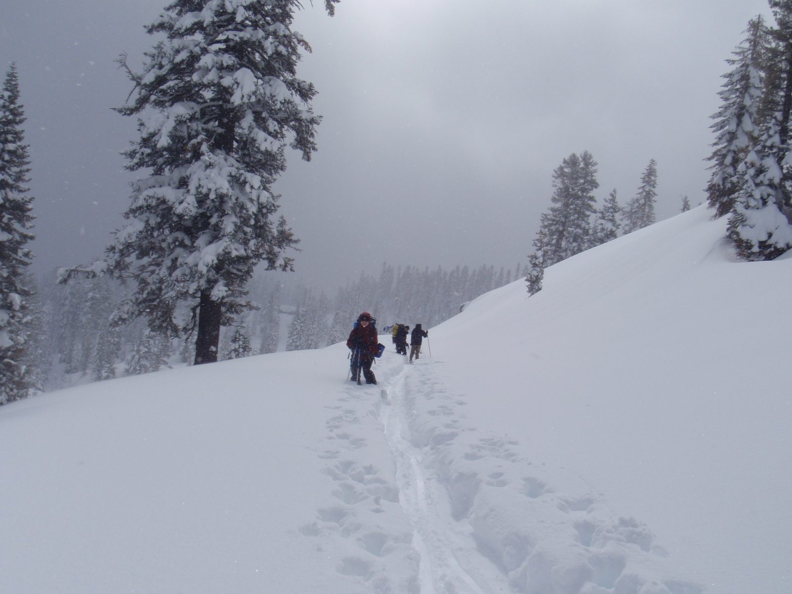 Hiking along CA-89.