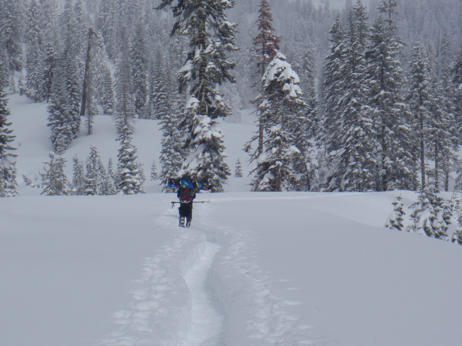 Yang, trekking along.