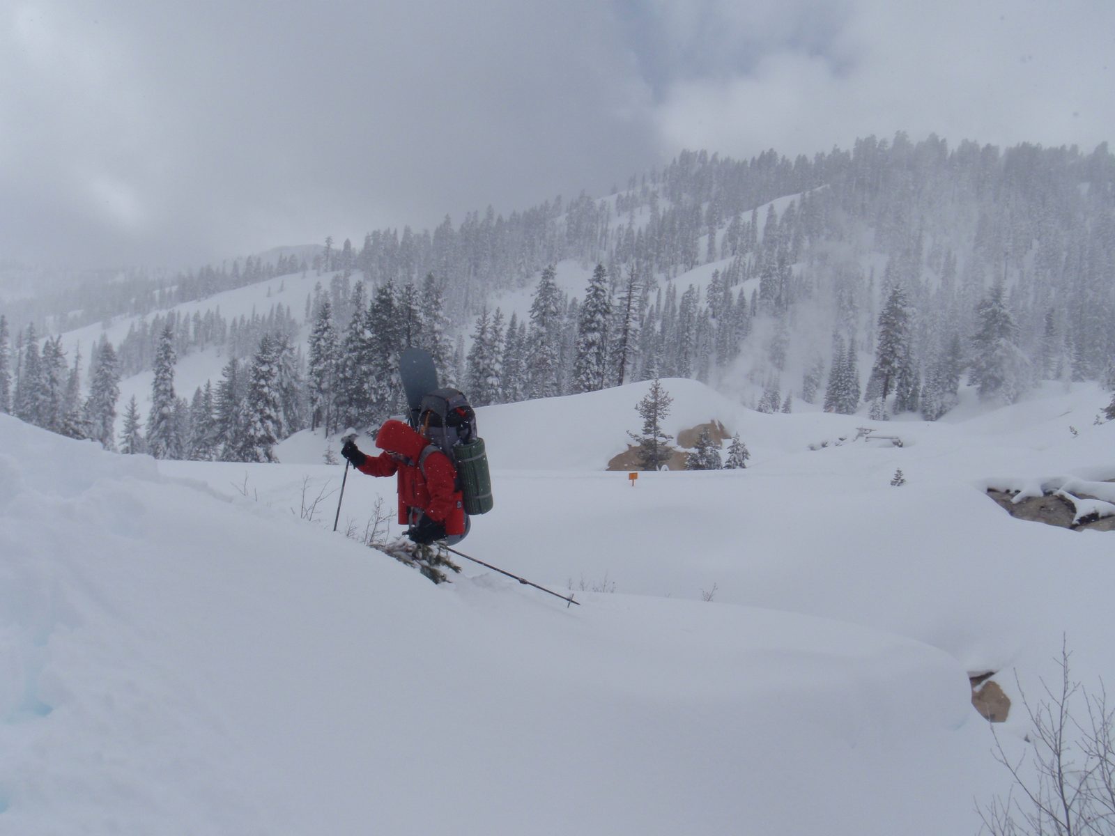 Vinnie, climbing the steep mountainside as we left the road at Sulphur Works.
