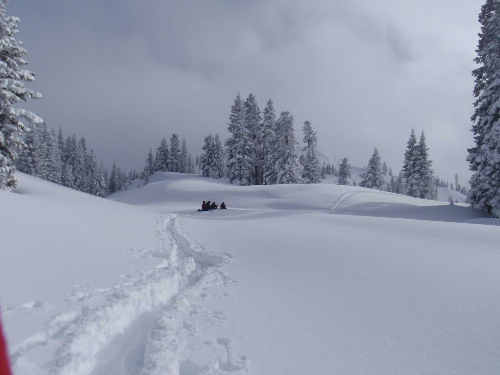The group takes a rest as we regain the road on the northeast side of Diamond Peak, and Vinnie...
