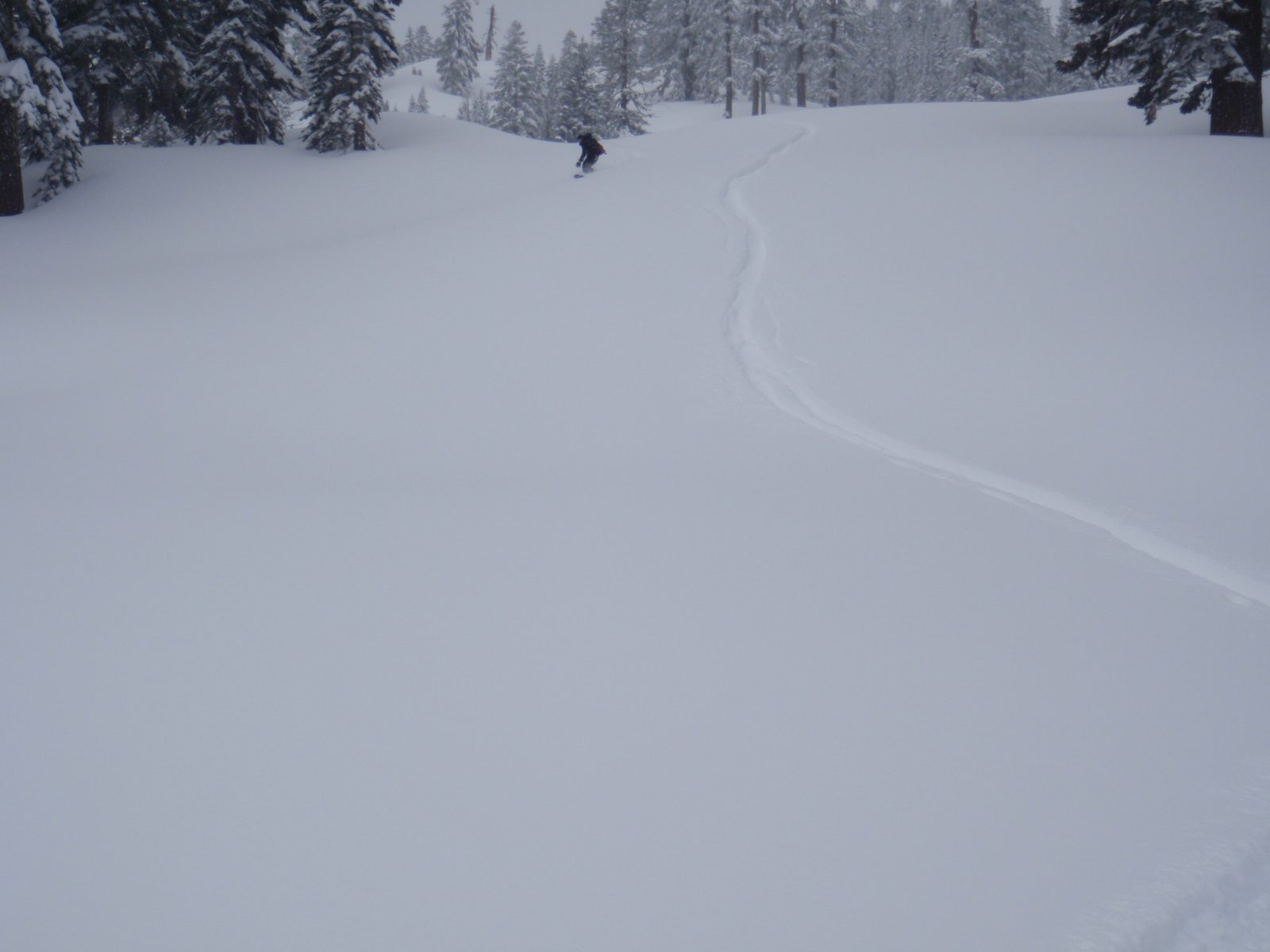 Yang snowboarding.