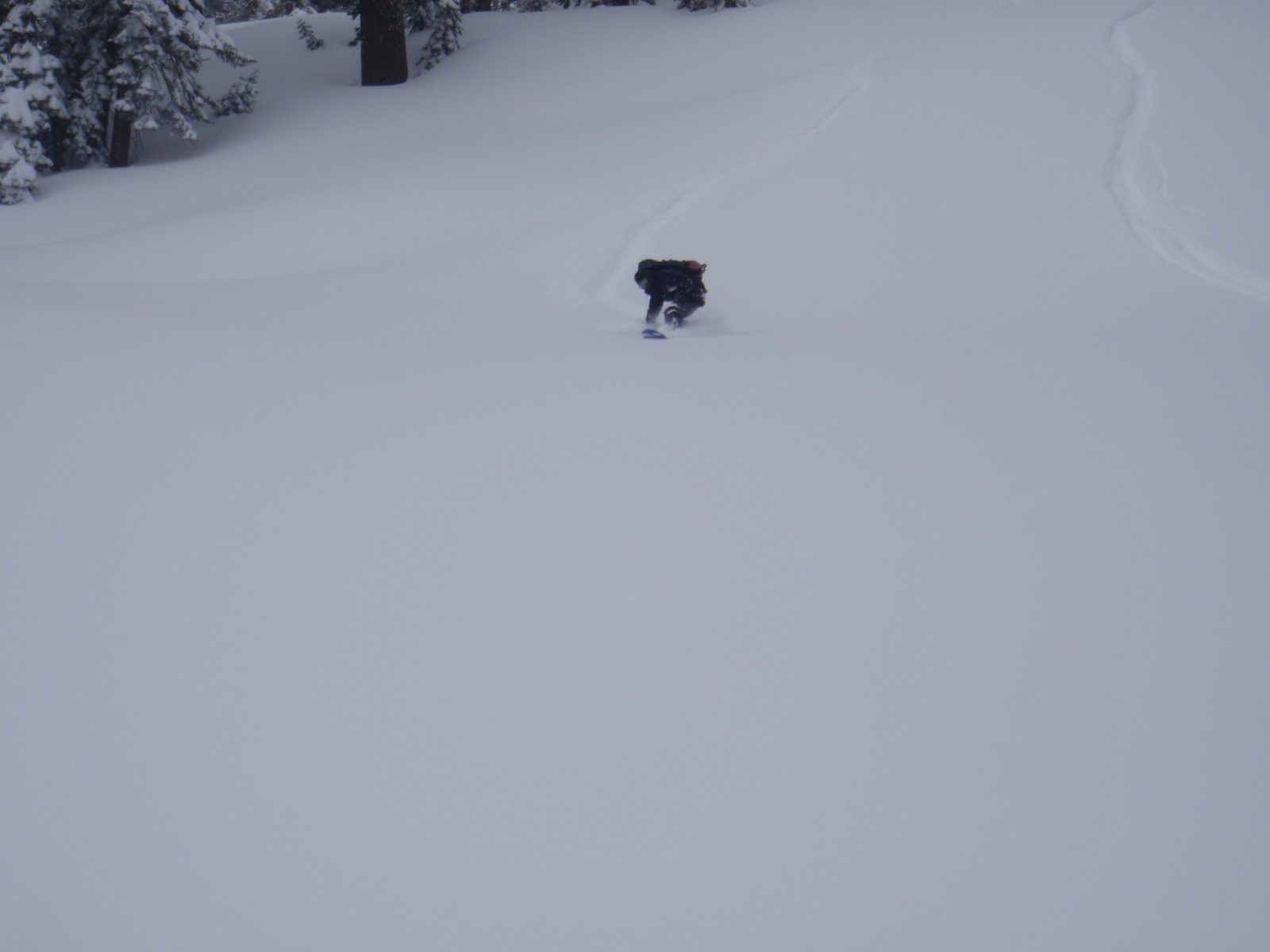 Yang keeping his front tip up. My tracks are at the right.