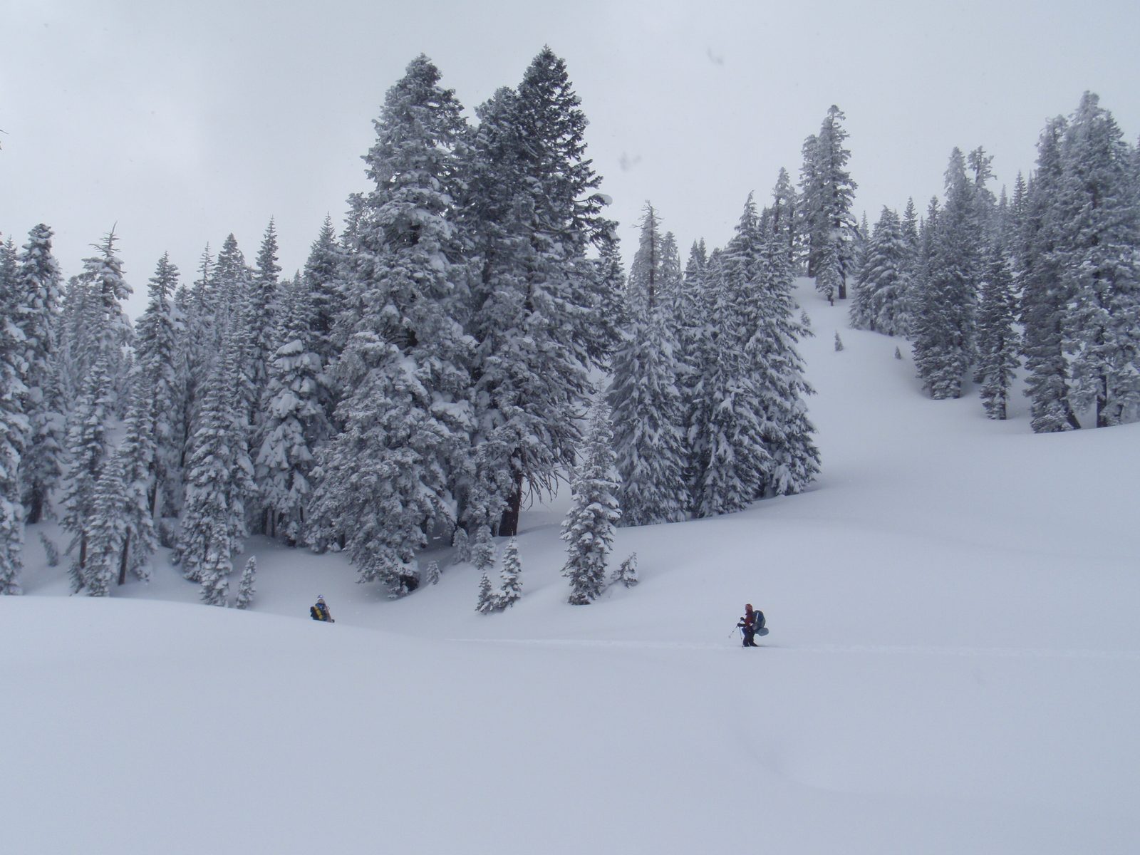 Yang and Monica, snowshoeing away from camp.