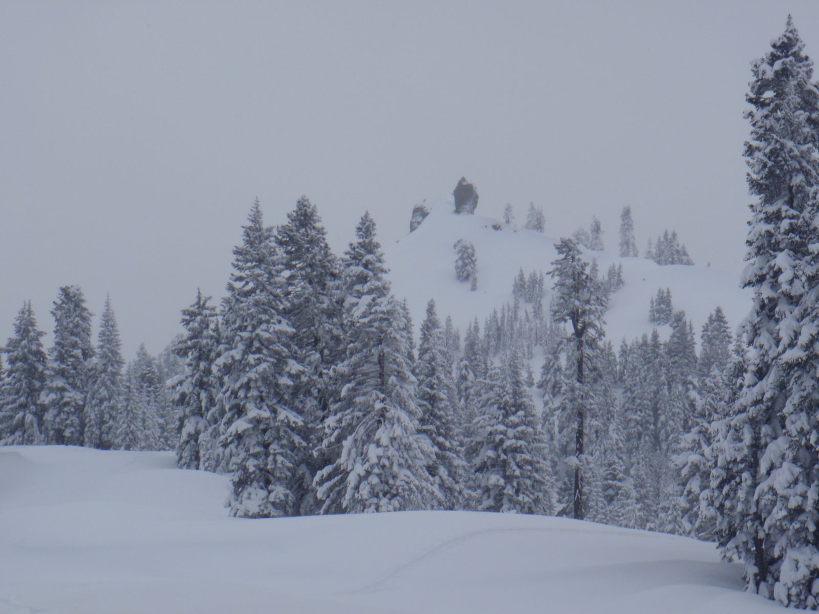 Diamond Peak, in the snow.