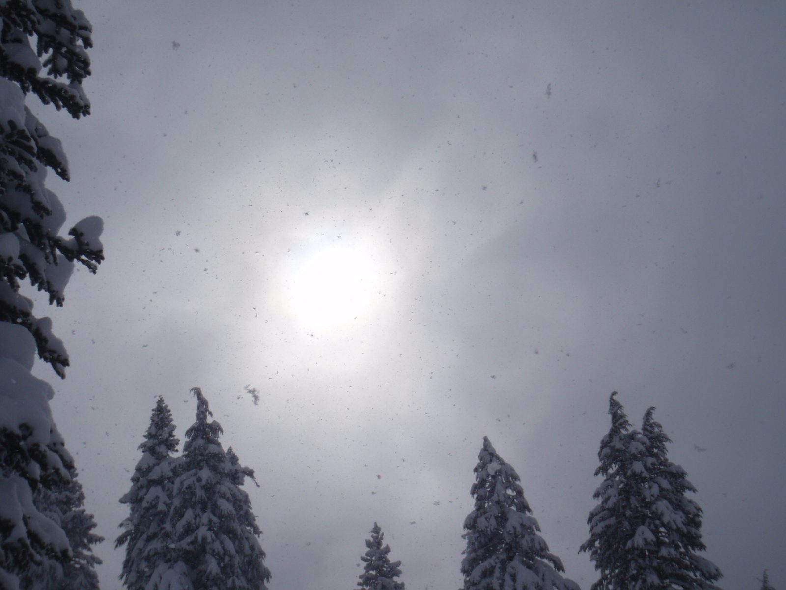 Snowflakes and sun.