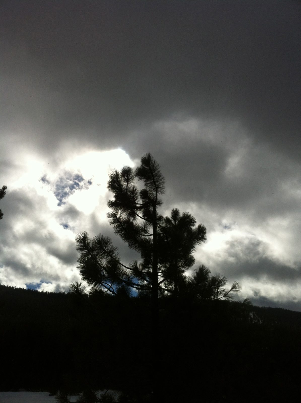 Originally the ambitious plan had been to drive to Tahoe Friday after work and (since it was a...