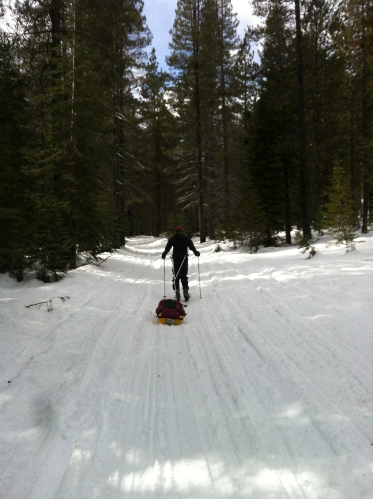 The pulk got to go on its second outing in 2 weeks: The flat, easy going trail was perfect for a...
