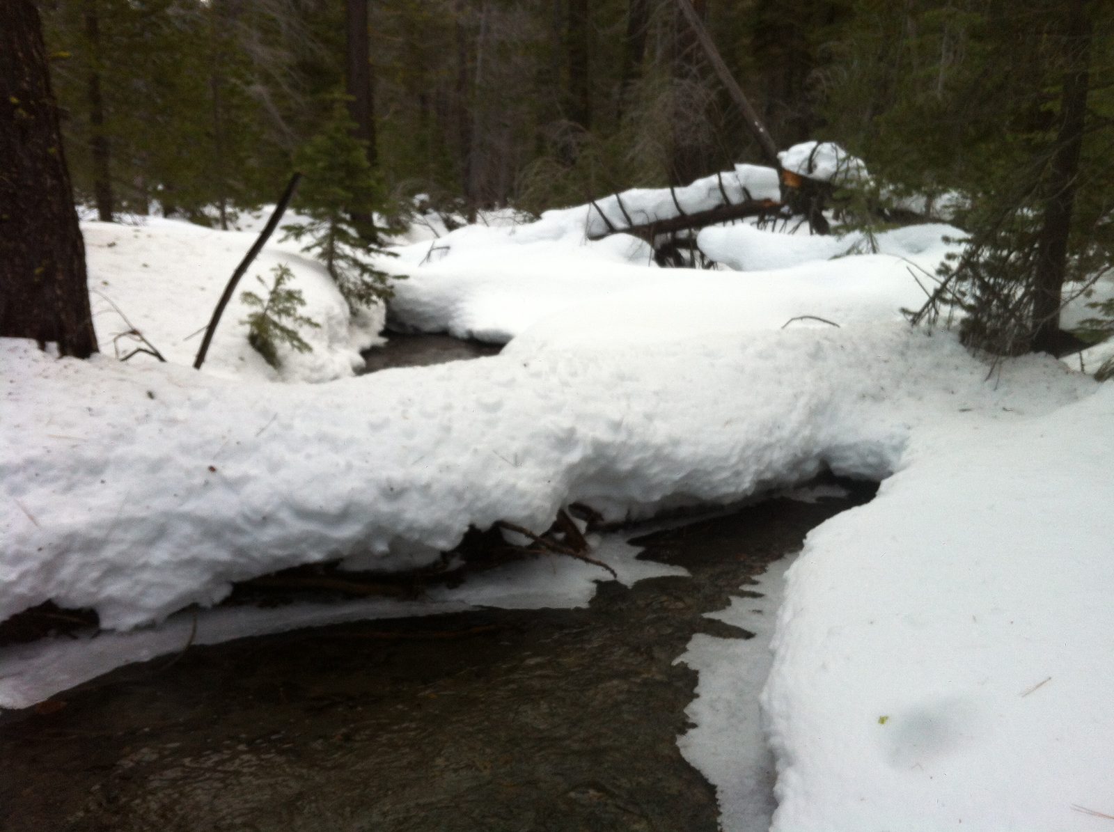 Crossing a small stream.