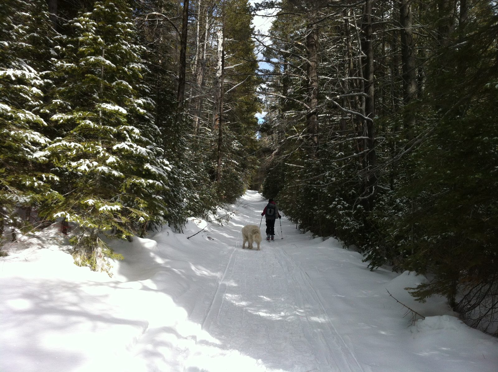 Lady decides to lead us back to the railroad tracks. I don't think she was terribly impressed...