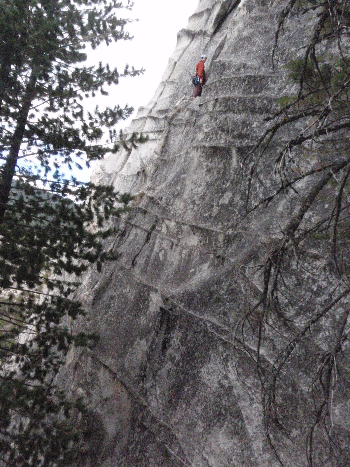 Joel, seconding the second pitch of The Farce.