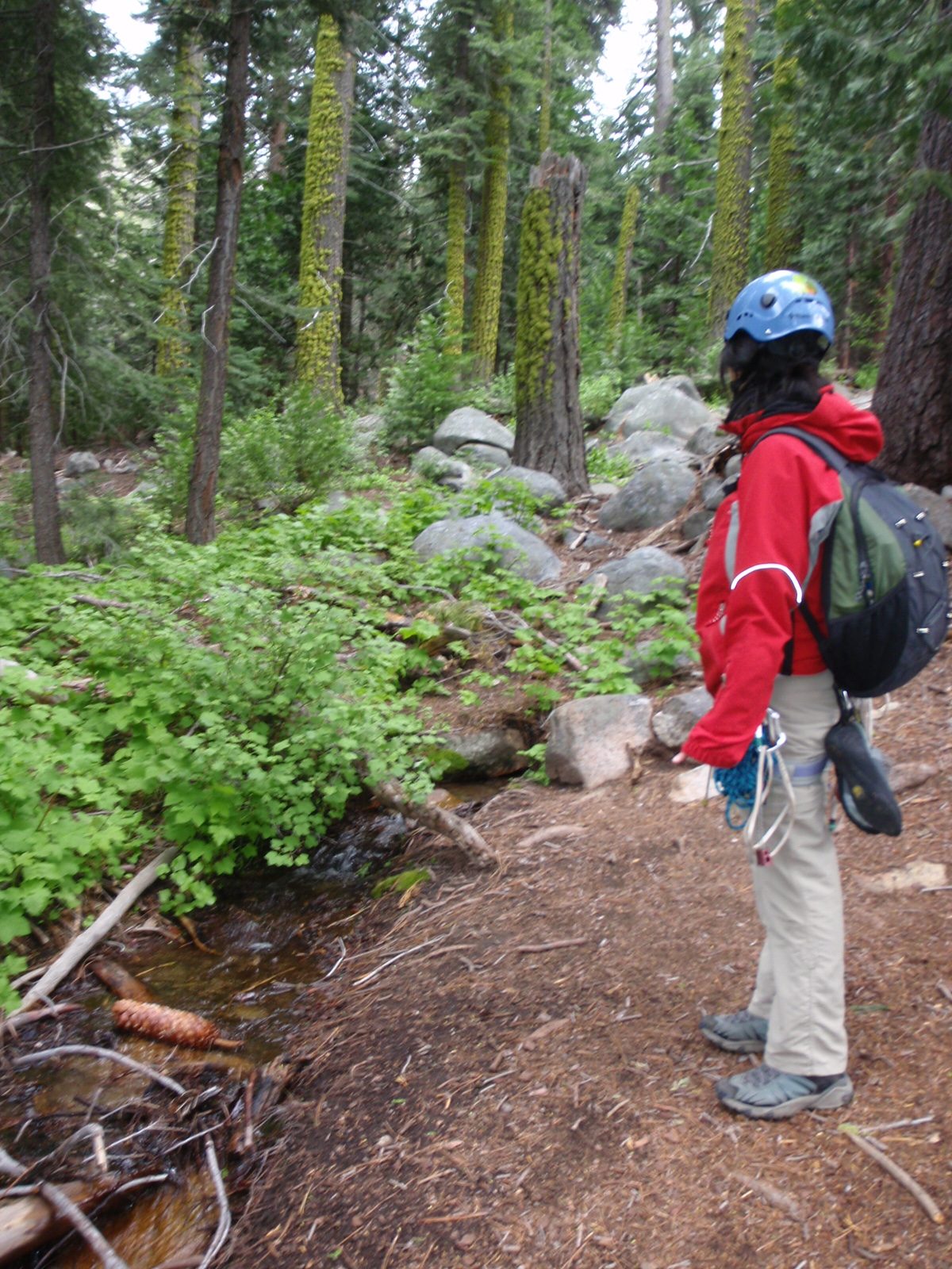 The trail back was quite scenic, with a little stream bubbling by next to the trail.  It's been...
