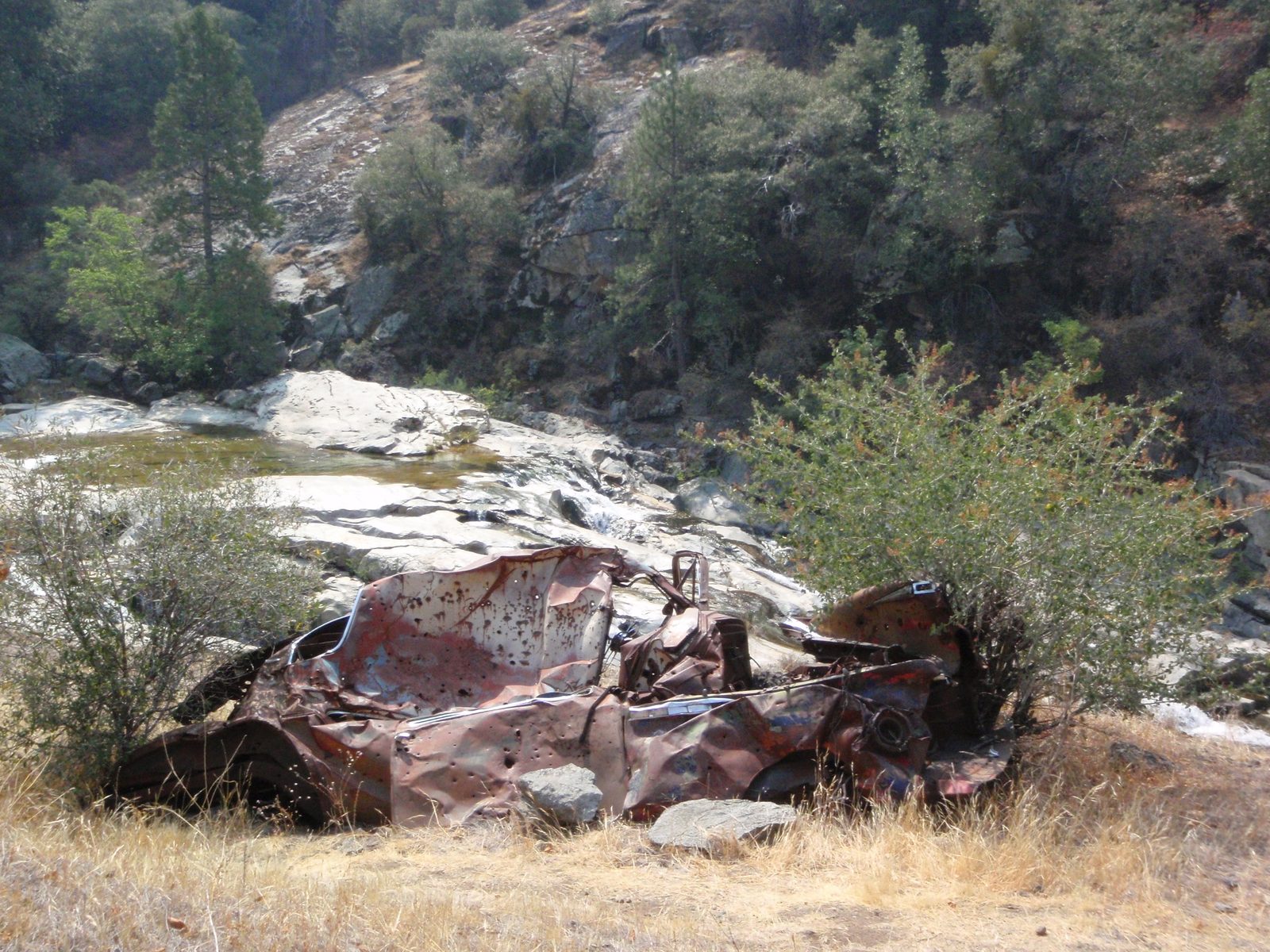 Check out this hot rod I found by the side of the river!