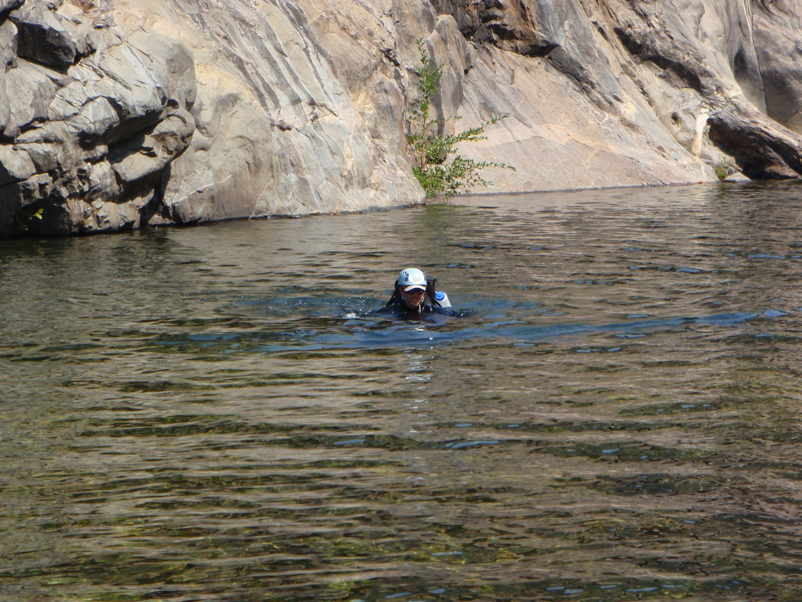 Michael, swimming for shore.