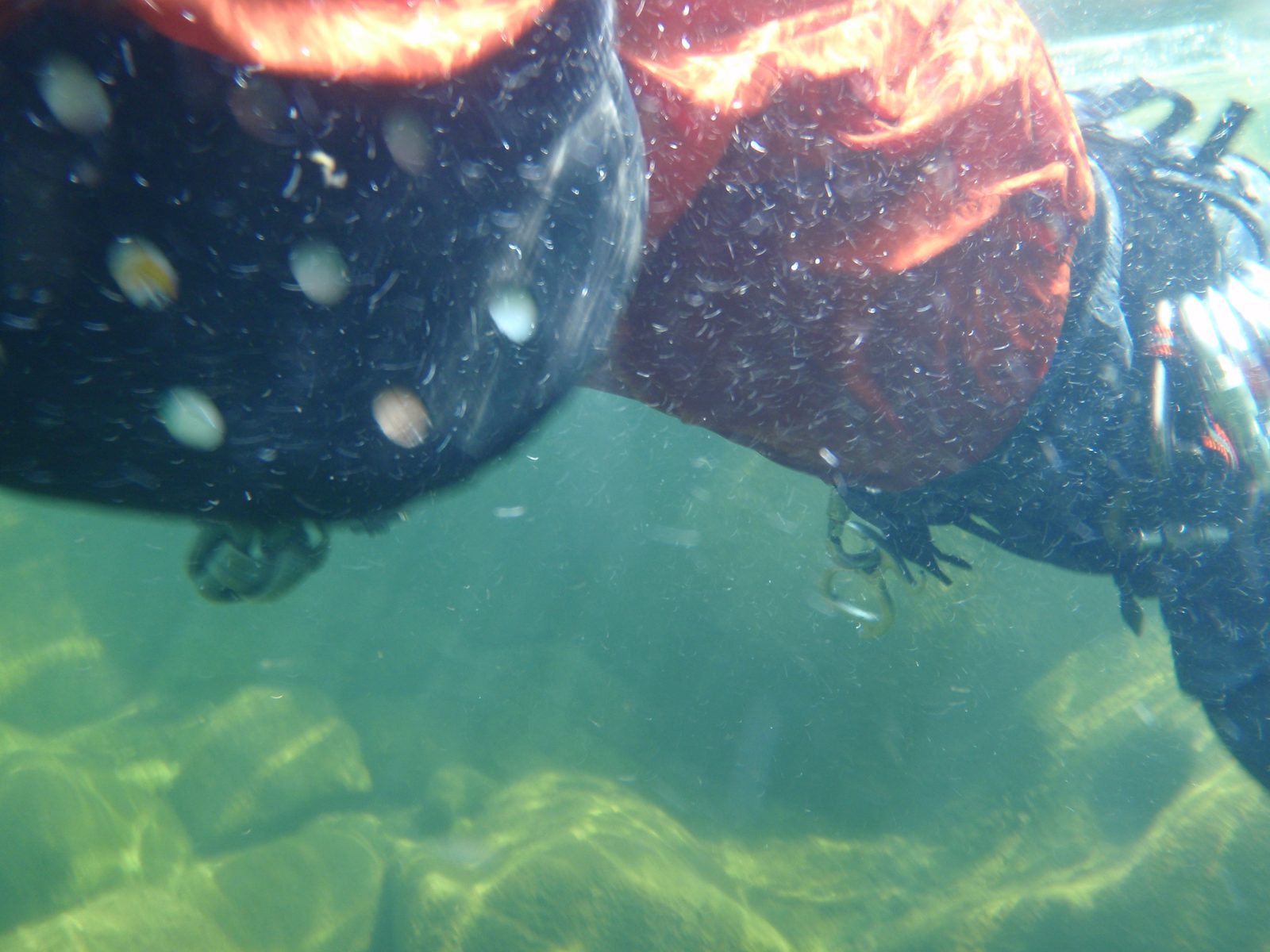 Testing out underwater ability of camera.  Joel, swimming.