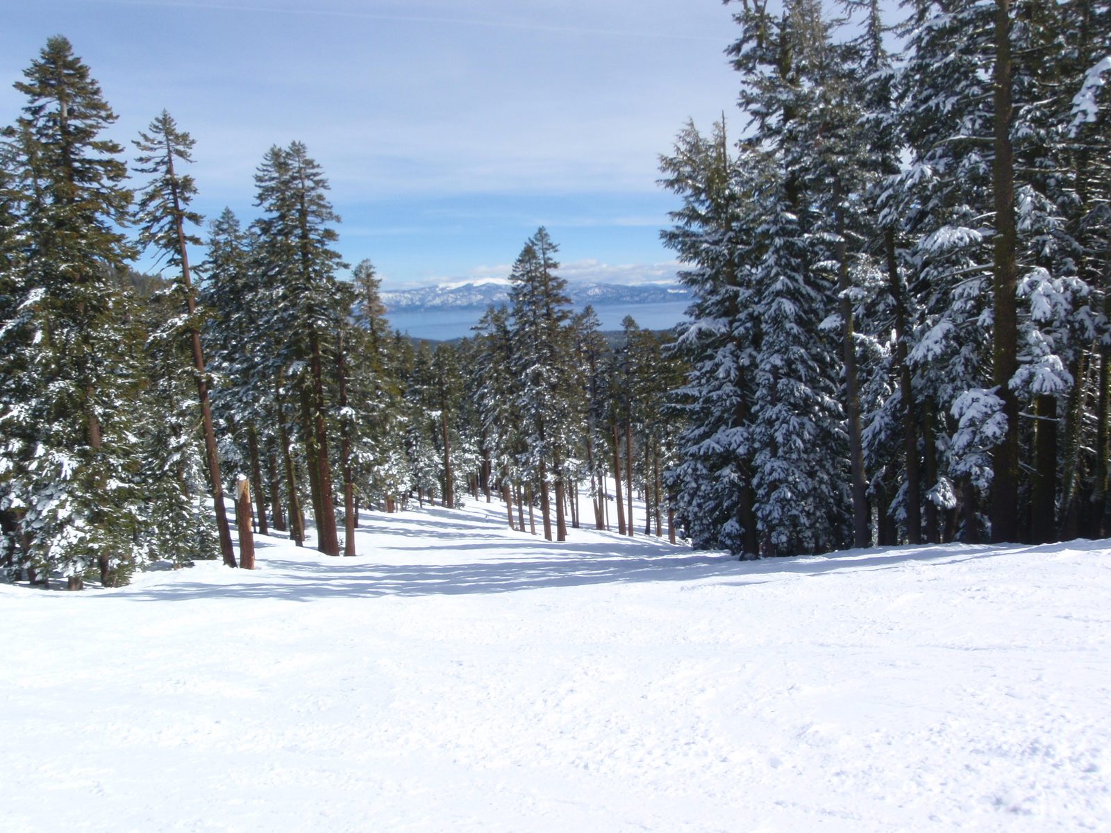 Nice cruiser trail at Alpine Meadows, with Lake Tahoe in the background.