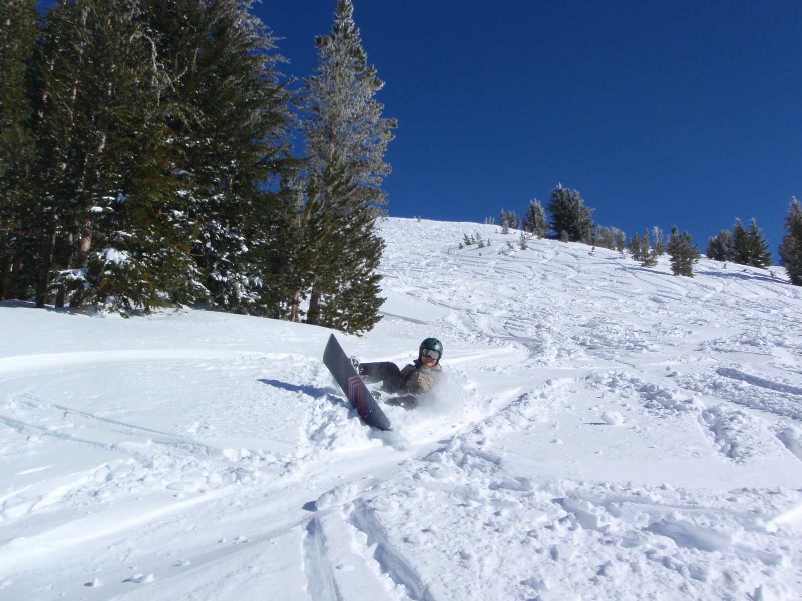 Monica has a little wipe out by the side of the trail.  Best part about this snow is that when...