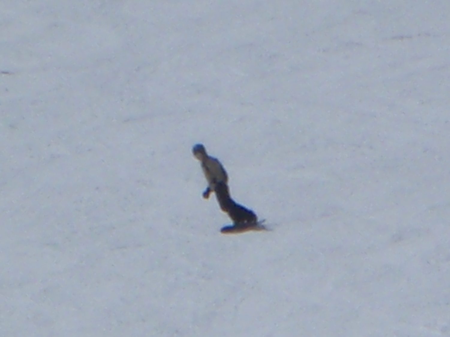 I tried using the digital zoom to take pictures of Monica from far far away.  Sadly, there is...