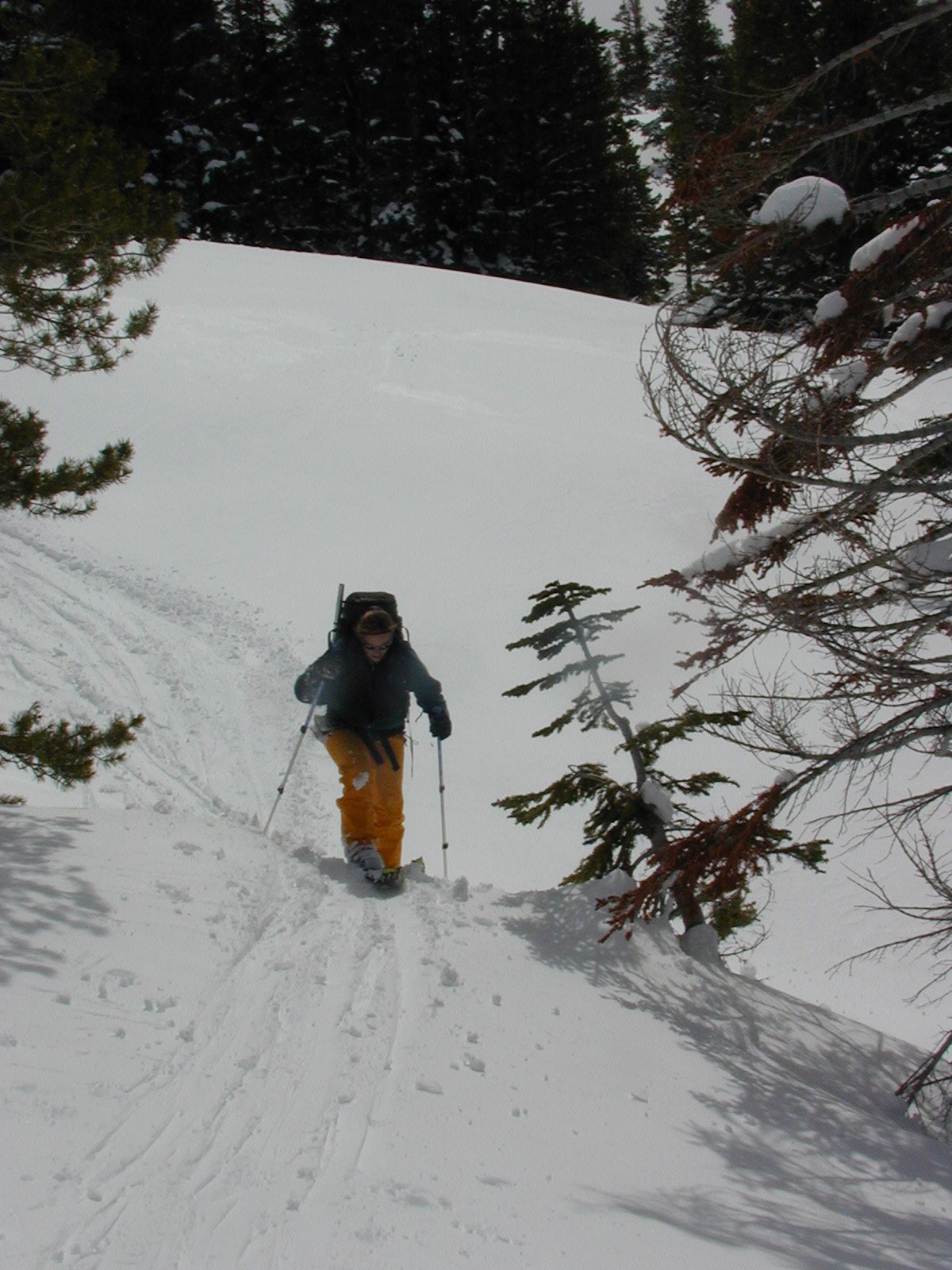 Catherine, tearing it up on the uphill on the hike in to the cabin.