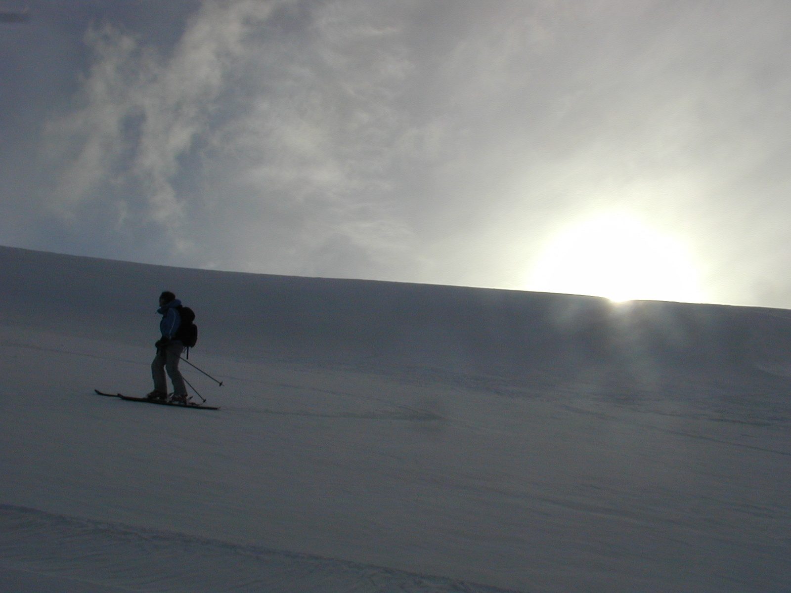 Rachel, inspecting her tracks as the sun sets behind the western ridge of the Truckee River box canyon.