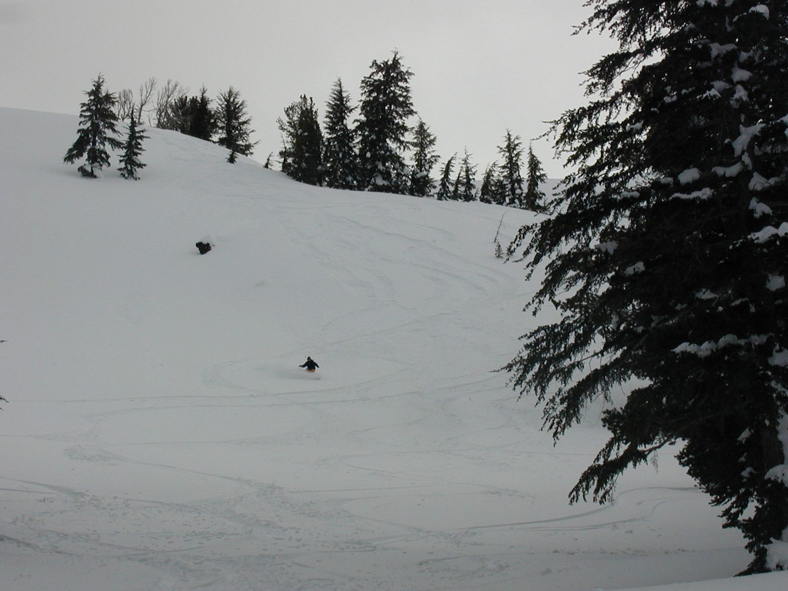Catherine, laying down a big rooster tail on our final descent to the cabin Saturday evening.