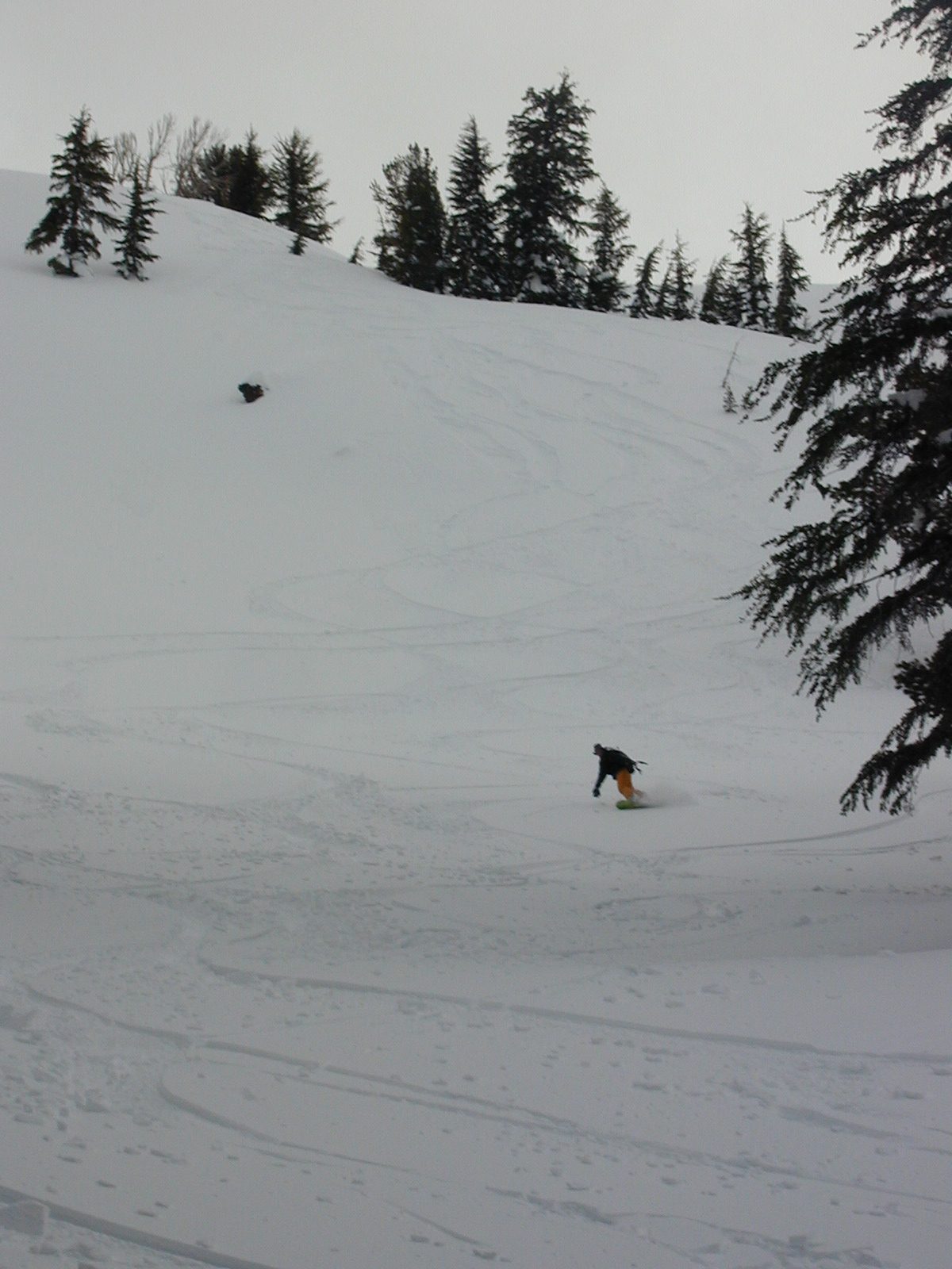 Catherine, reaching down to touch the snow on our final descent to the cabin Saturday evening.