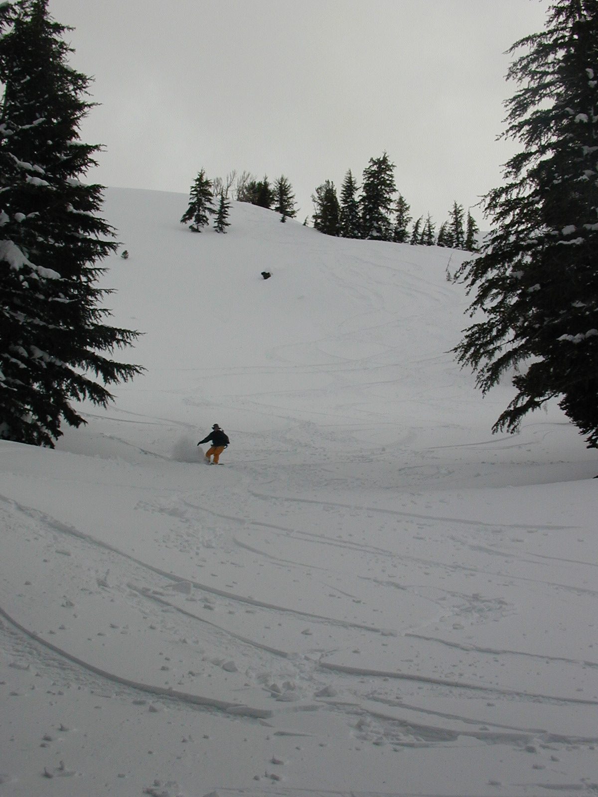 Catherine, with another huge powder rooster tail.