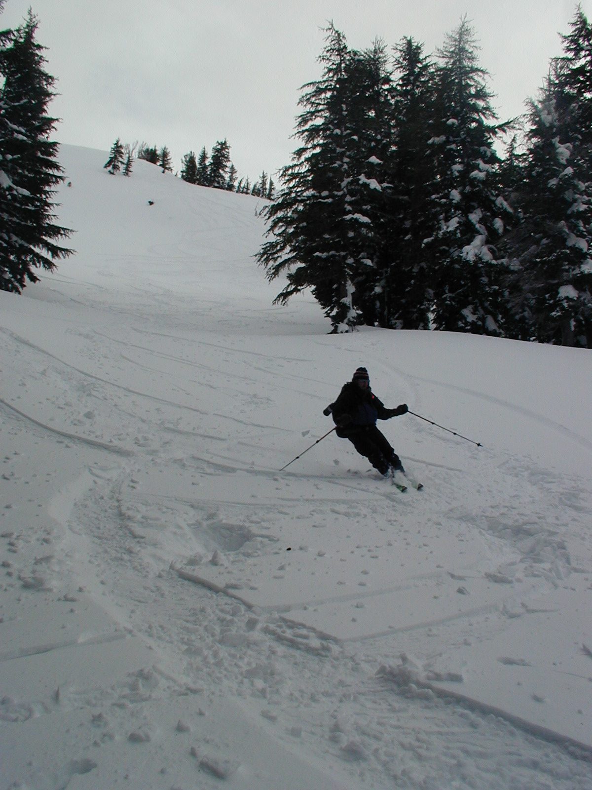 Niels, if ever there was an example of a stationary upper body when skiing.