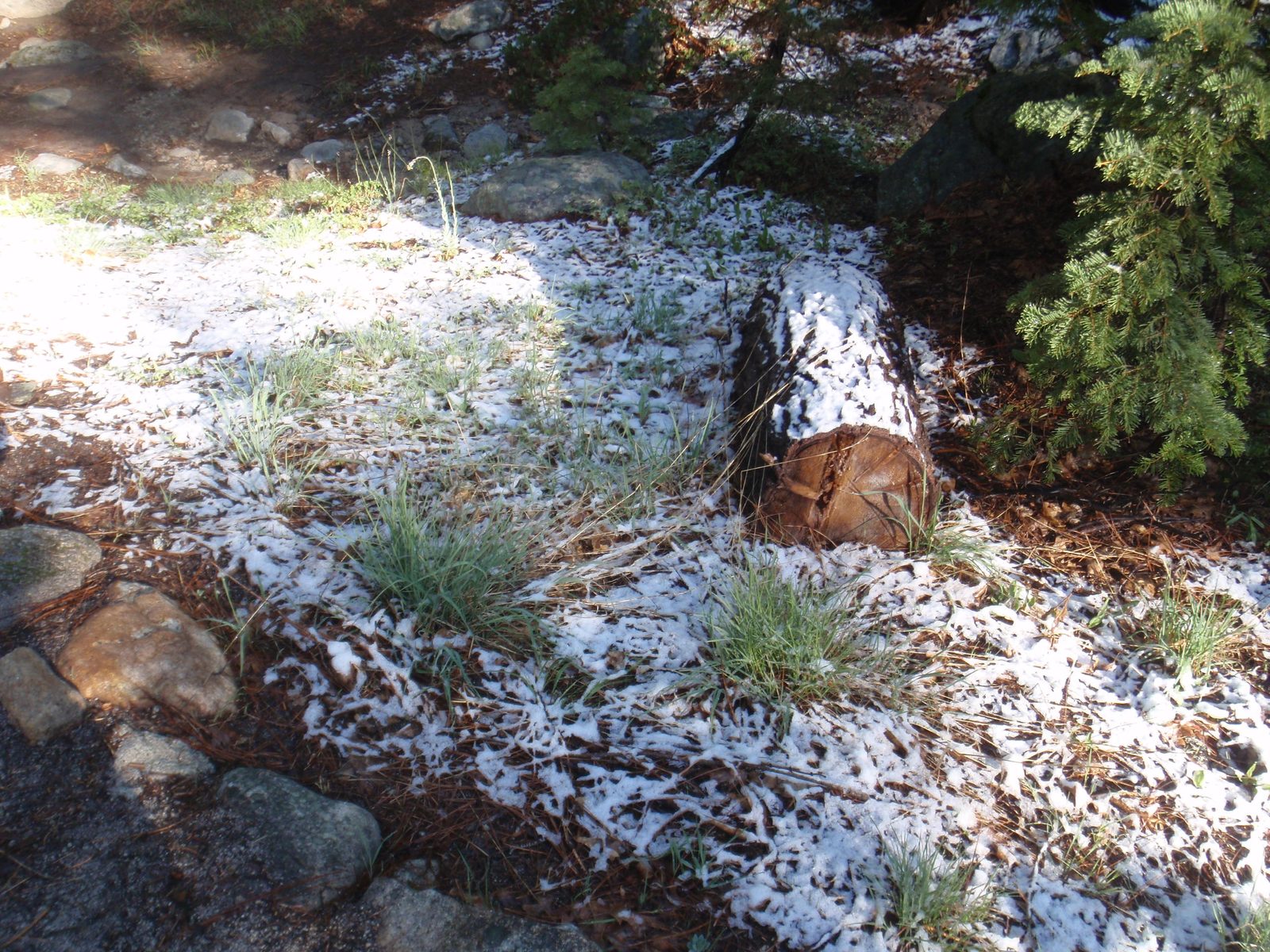 Snow from the night before.
