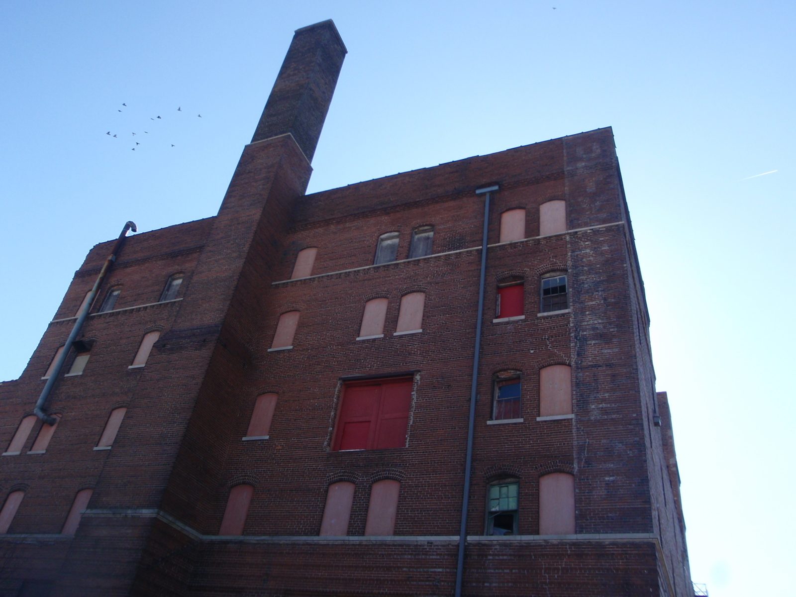 An old factory along the riverfront.  And some birds.