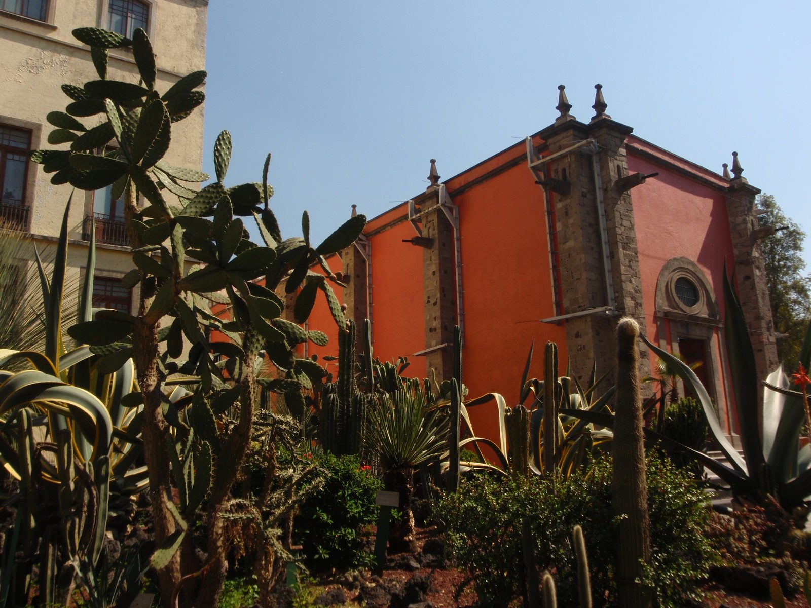 Inside the National Palace, there is a peaceful cactus garden paradiso type thing.