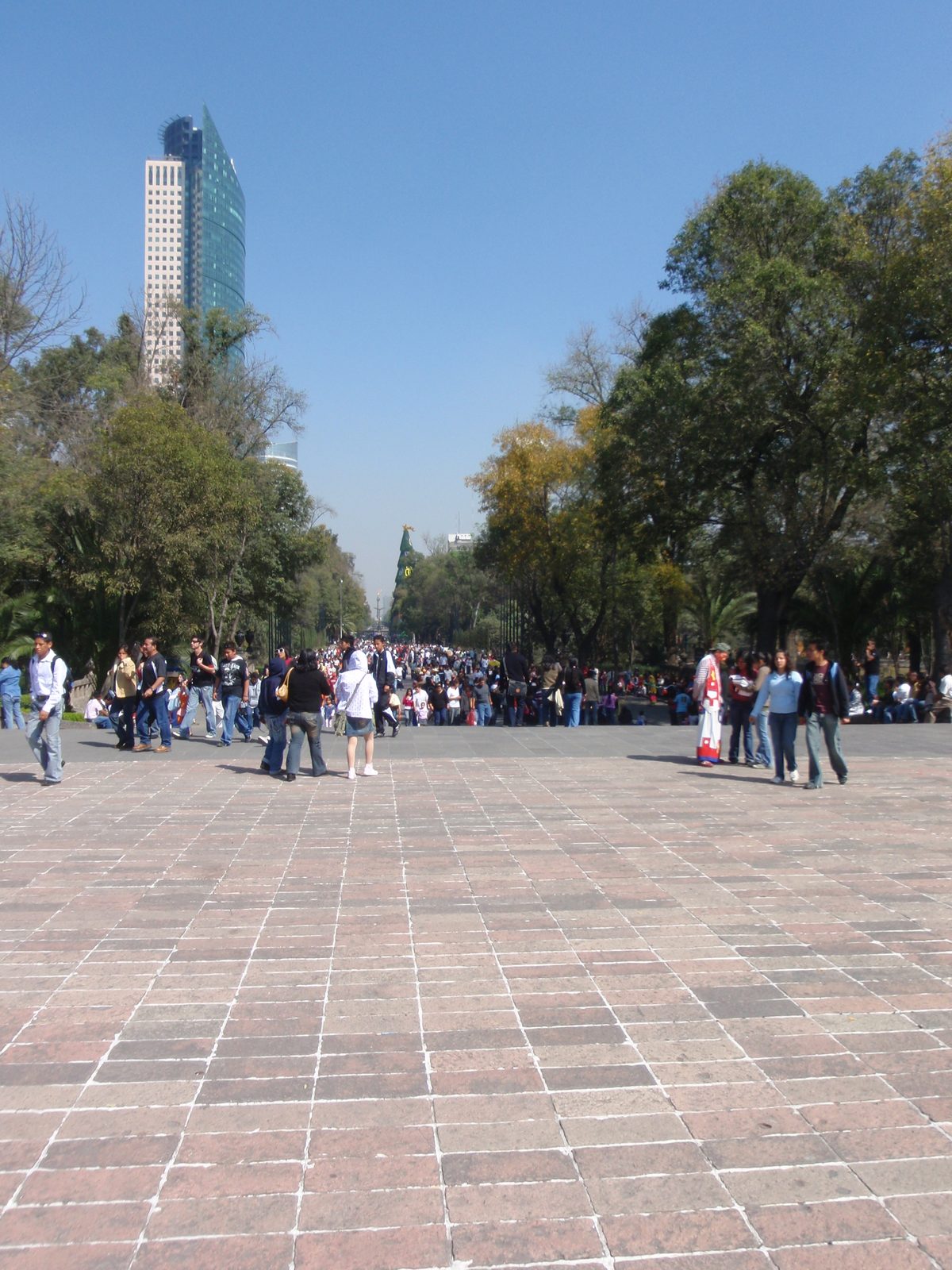 Looking out of the park down the Paseo de la Reforma.