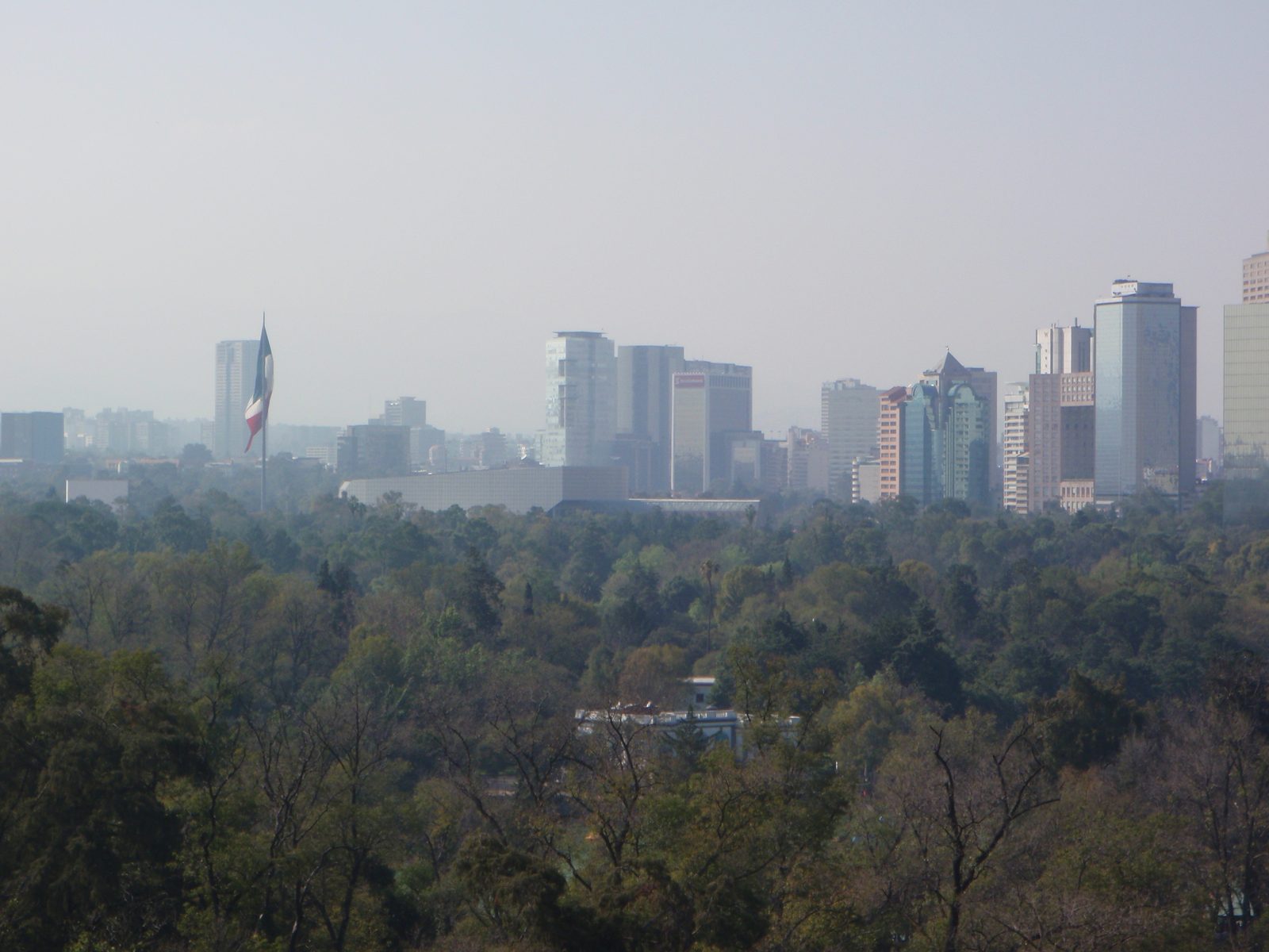 Mexico City skyline looking north: smog, skyscrapers, and one of the largest flags I've ever seen.