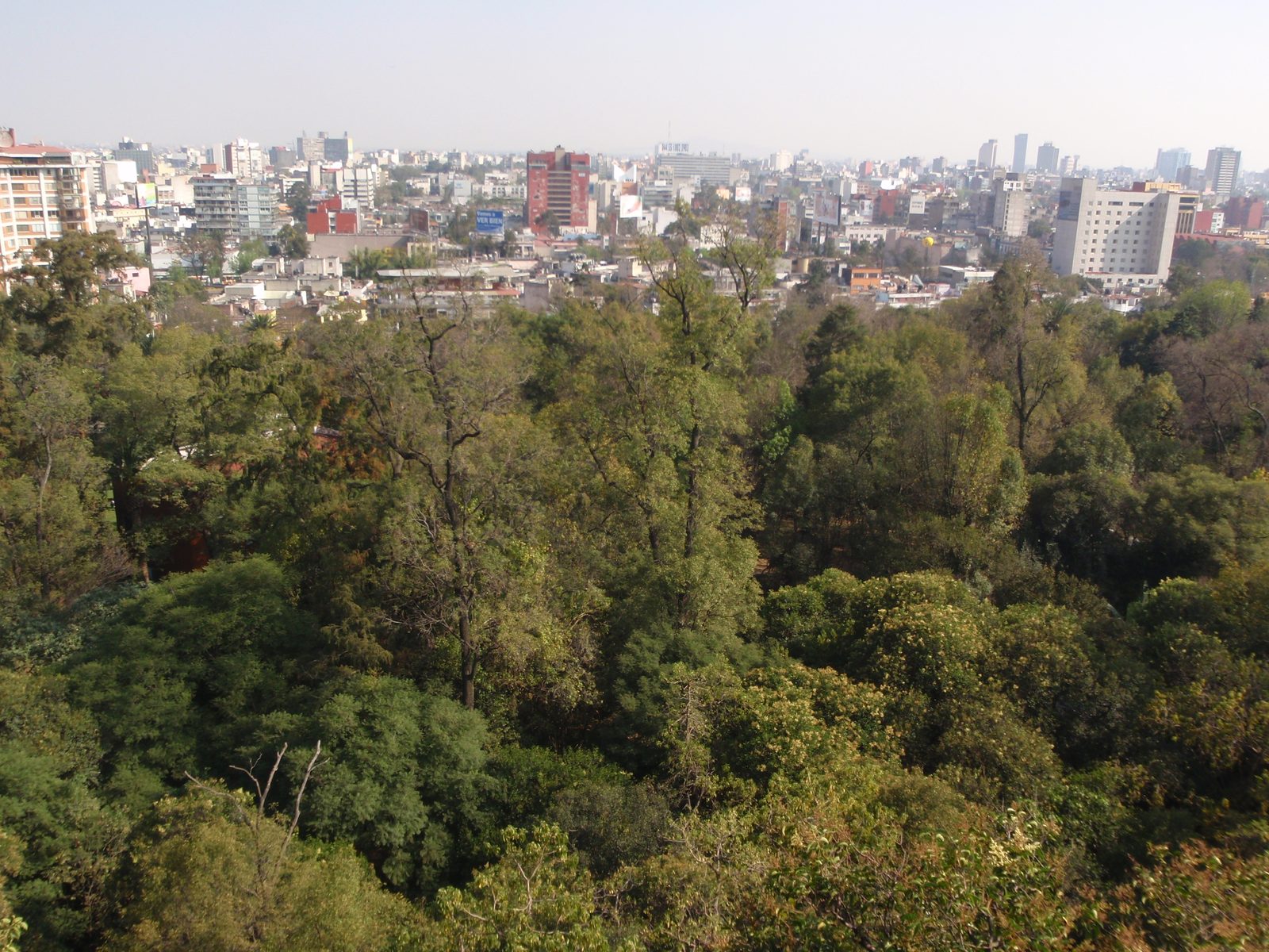 I stayed somewhere visible from this view.  Looking west from Chapultepec park.