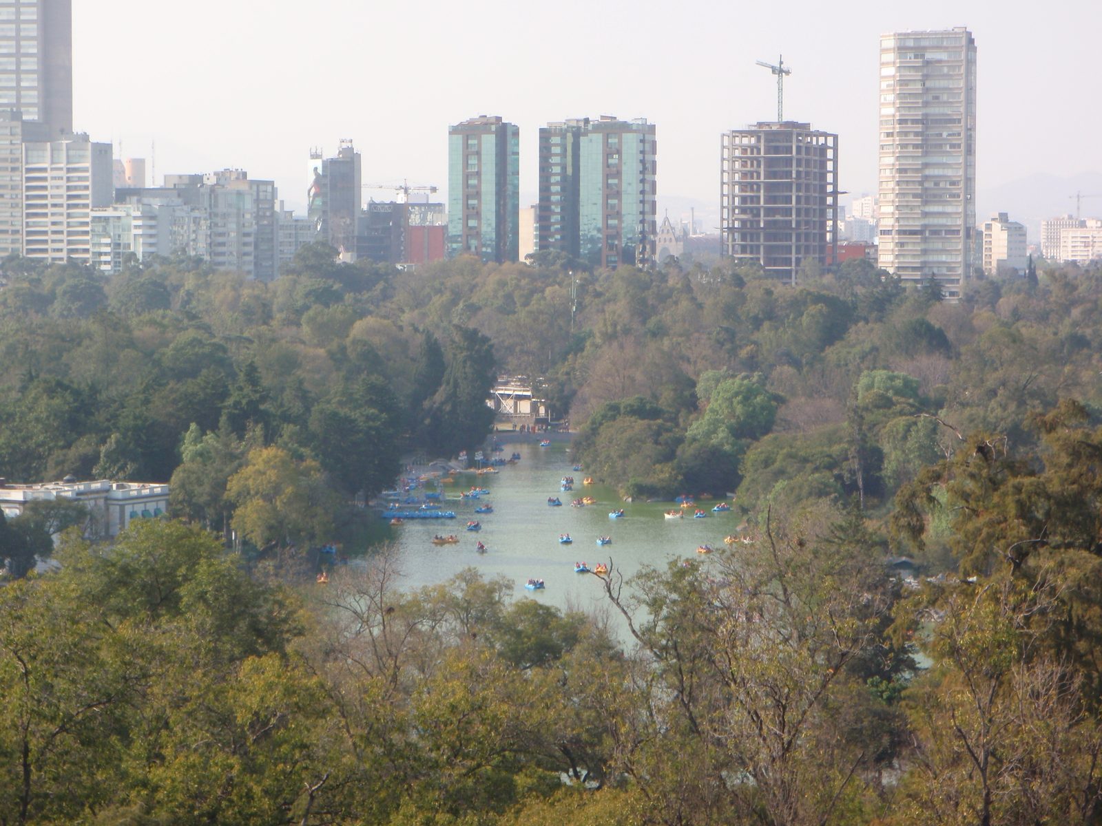 A lake in Chapultepec park and new high rises going up near by.