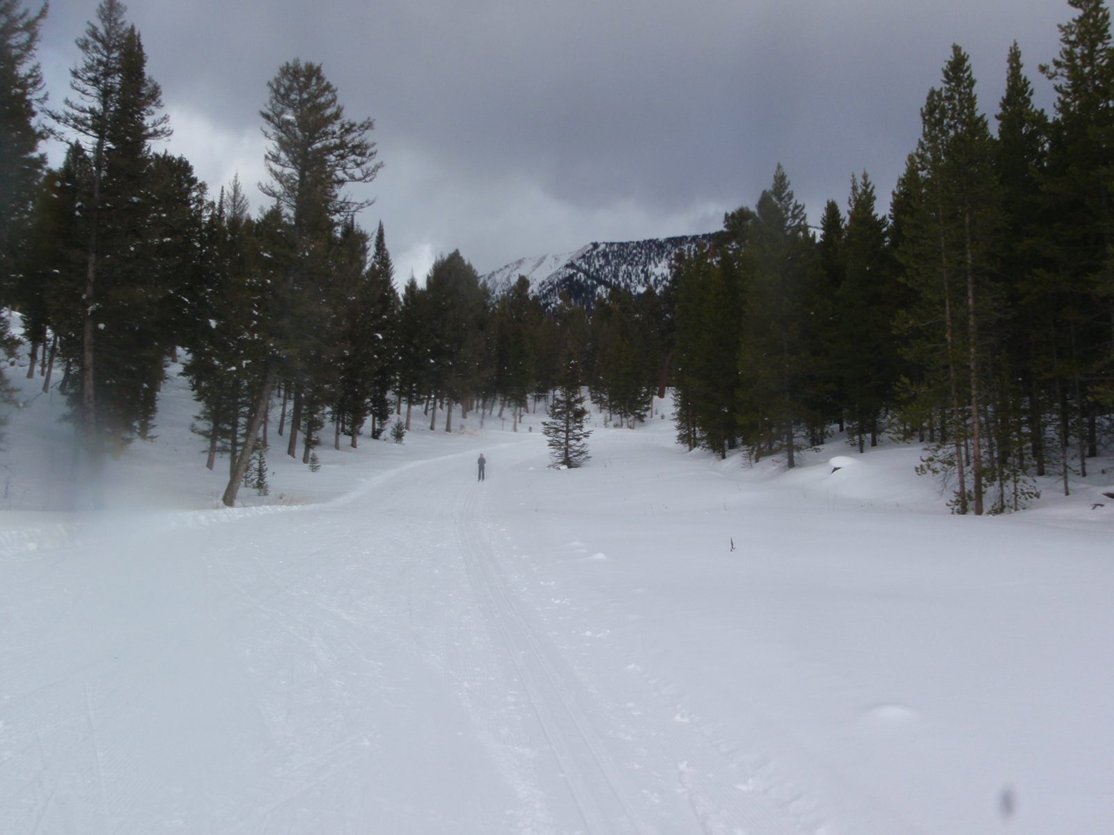 Cruising down the big downhill.
