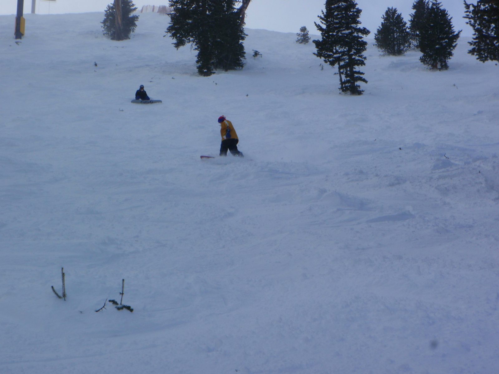 Catherine and Jay under the Lone Tree lift at Moonlight.